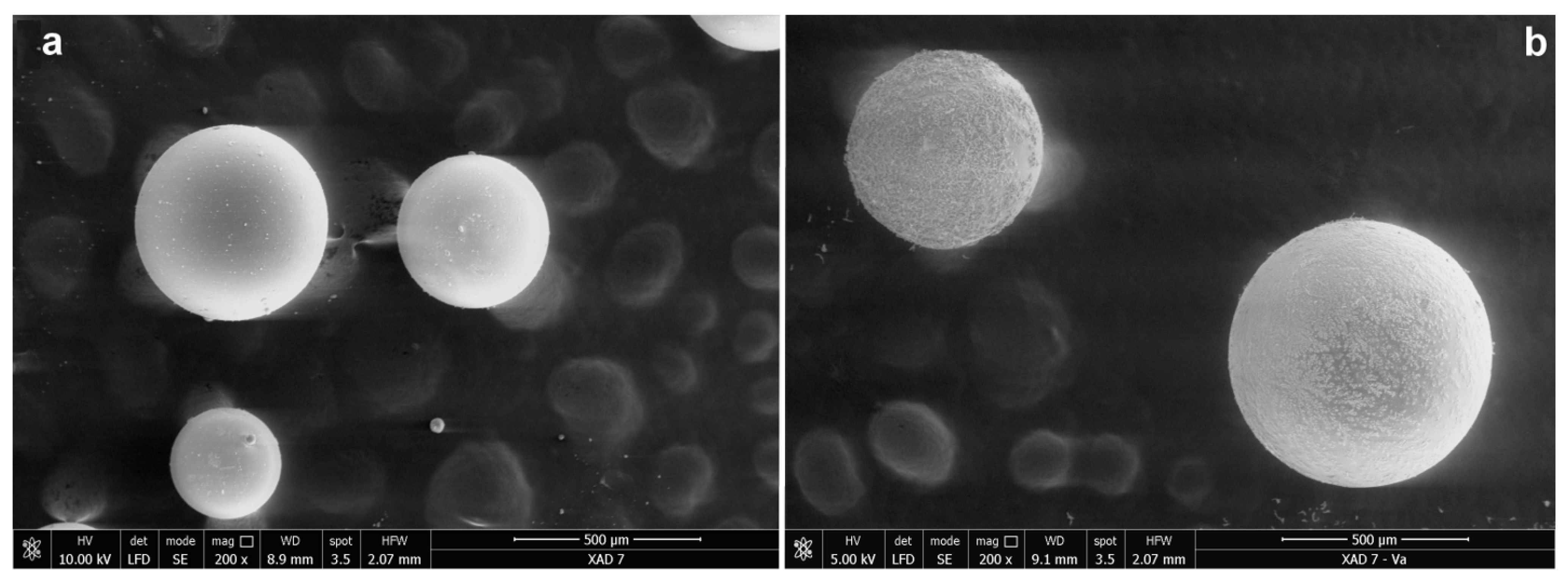 Polymers 16 00837 g001