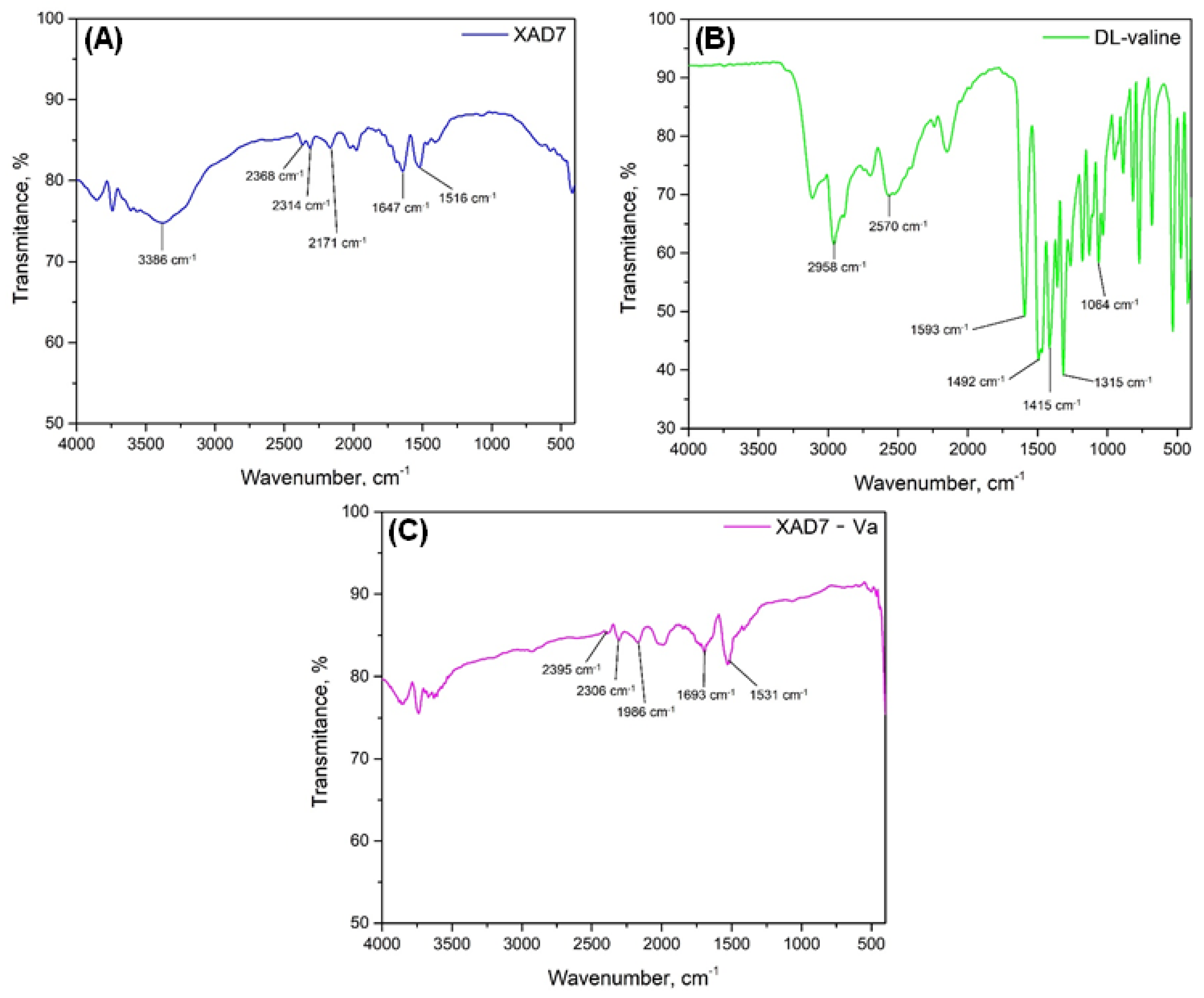 Polymers 16 00837 g003