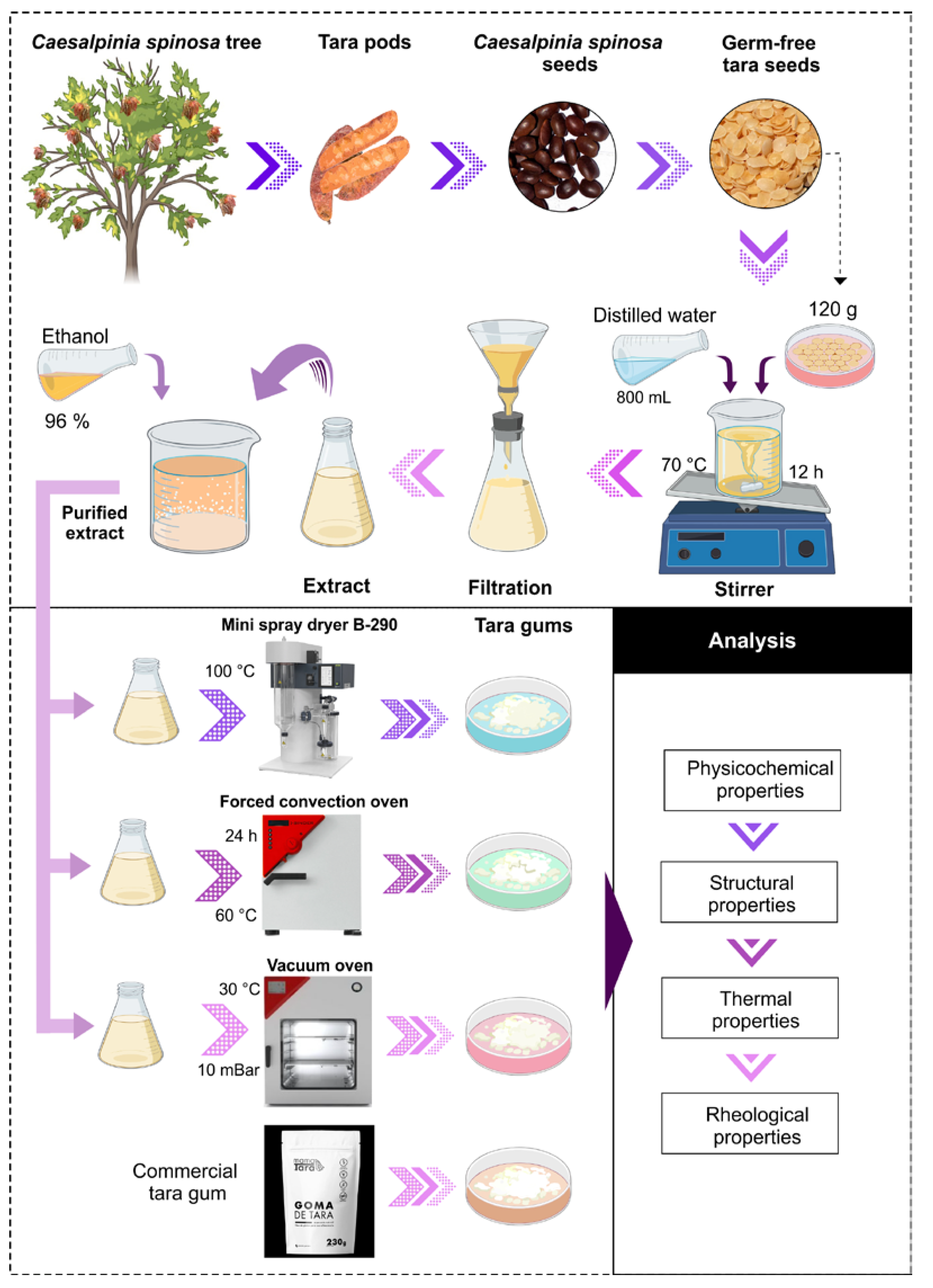 Polymers 16 00838 g001