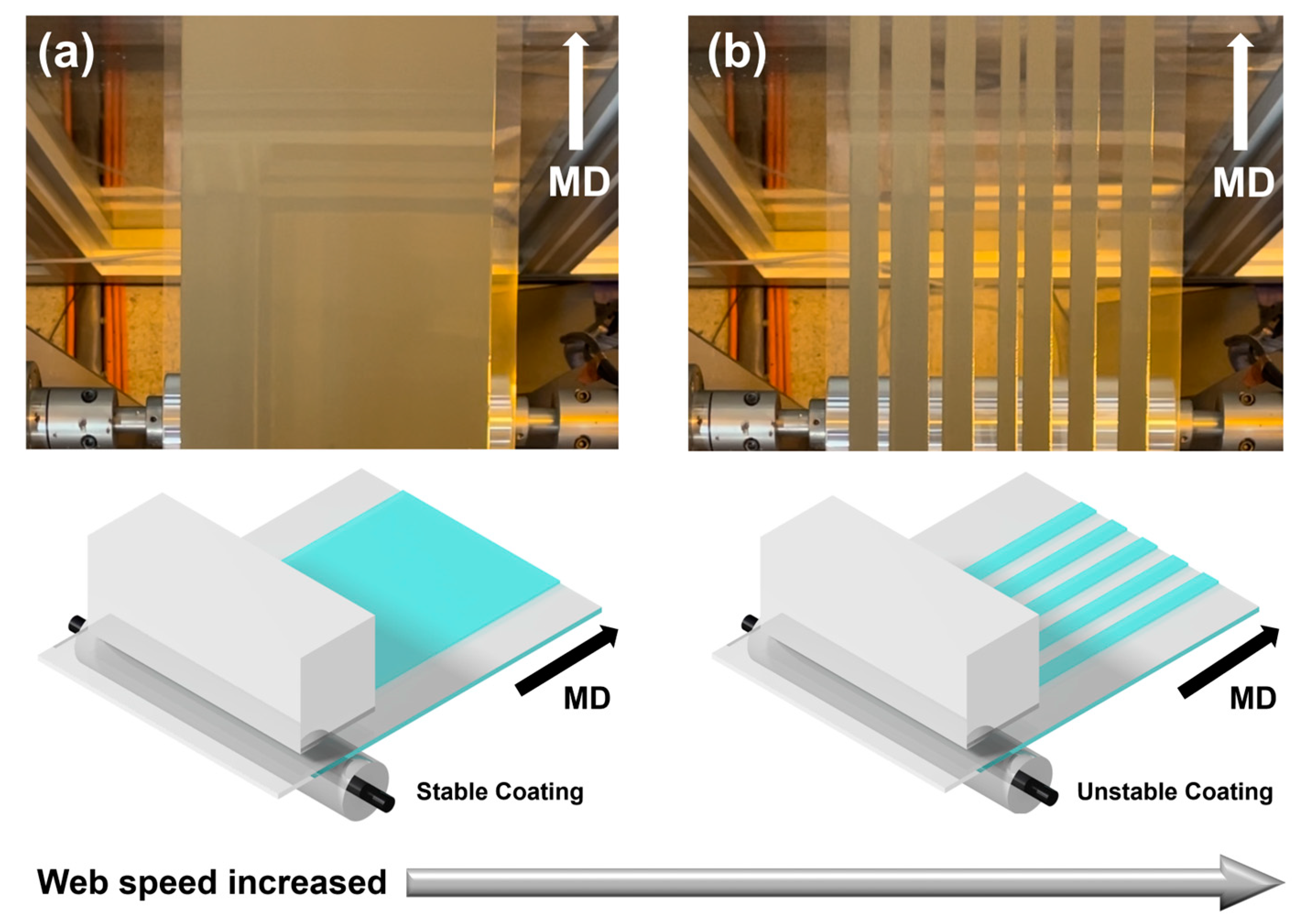 Polymers 16 00845 g005