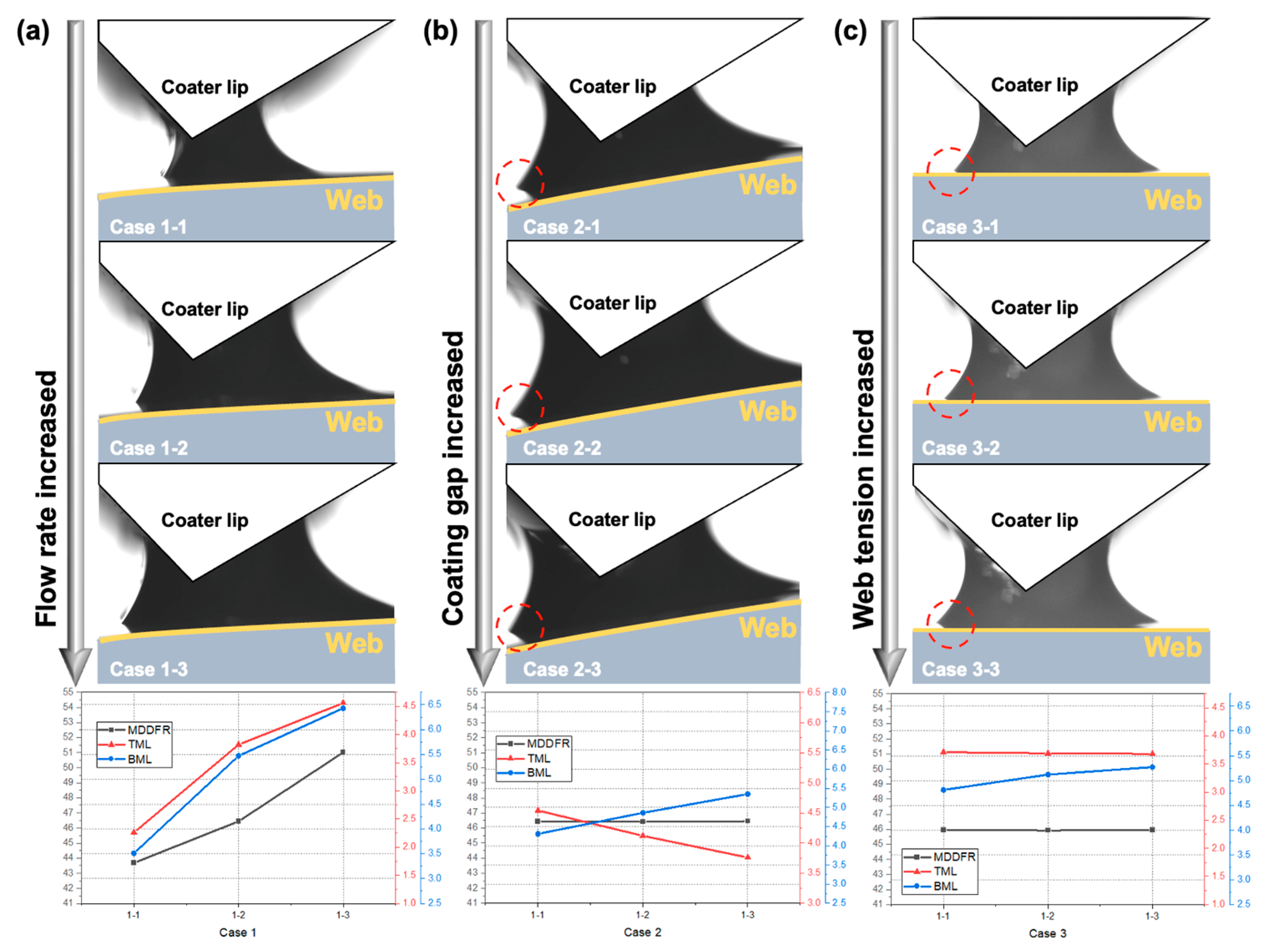 Polymers 16 00845 g008