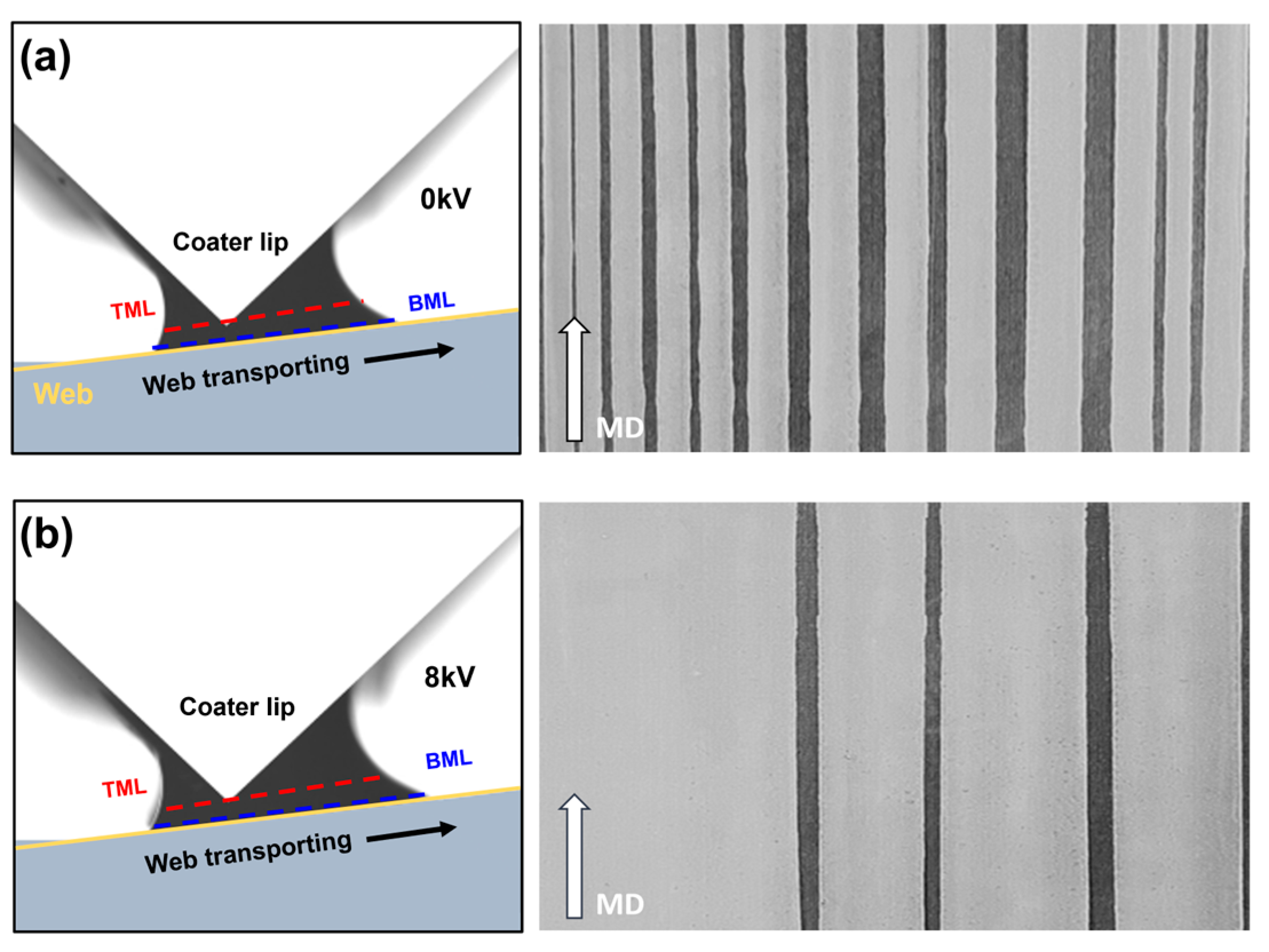 Polymers 16 00845 g016