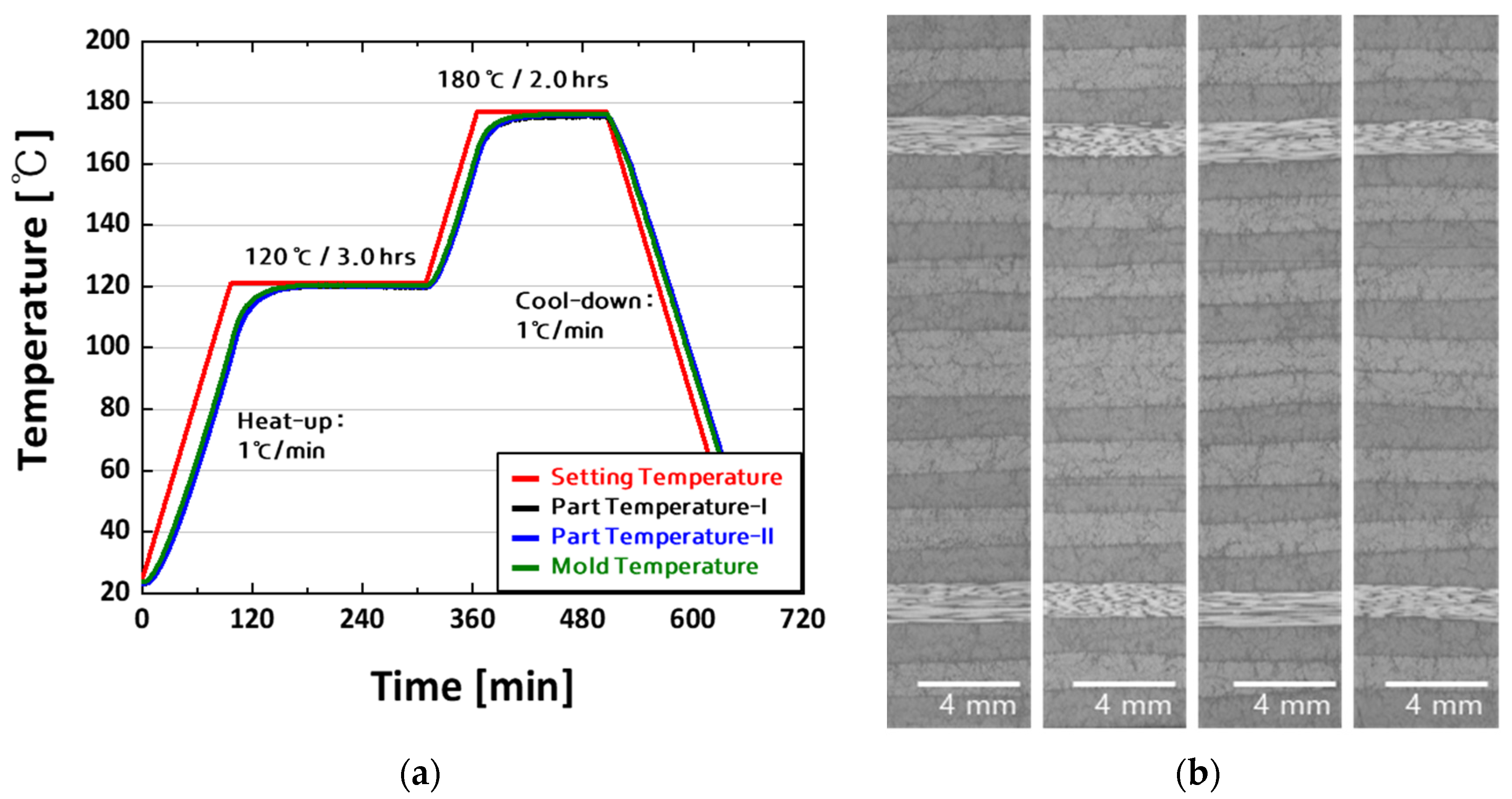 Polymers 16 00847 g002