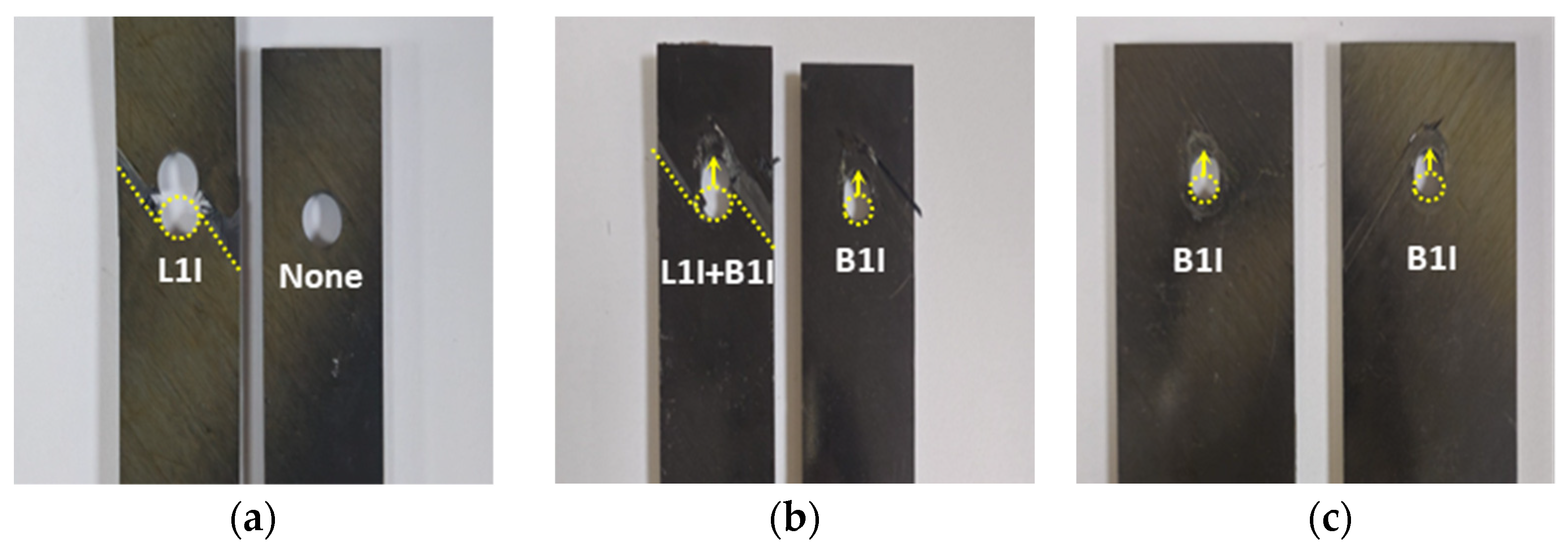 Polymers 16 00847 g008a