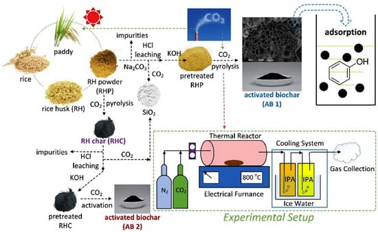 Recent Advances in the Preparation and Application of Biochar Derived ...
