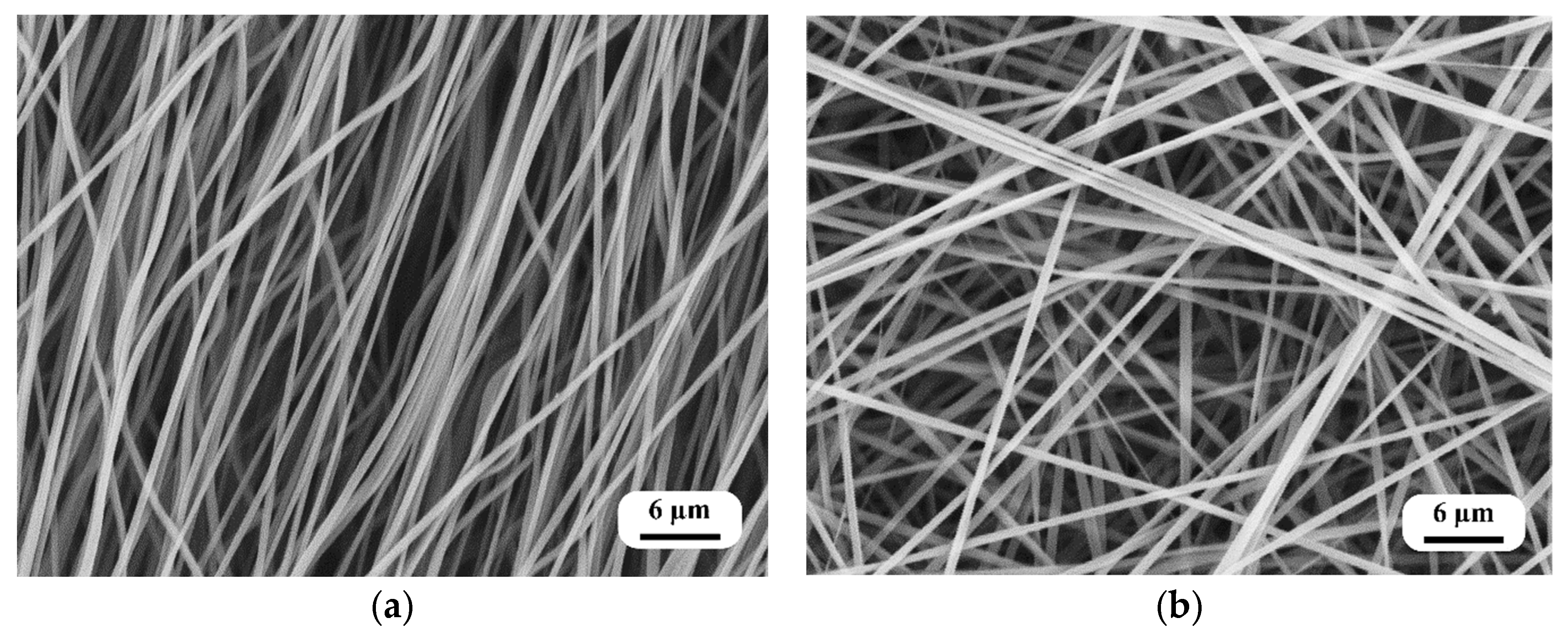 Polymers 16 00852 g003