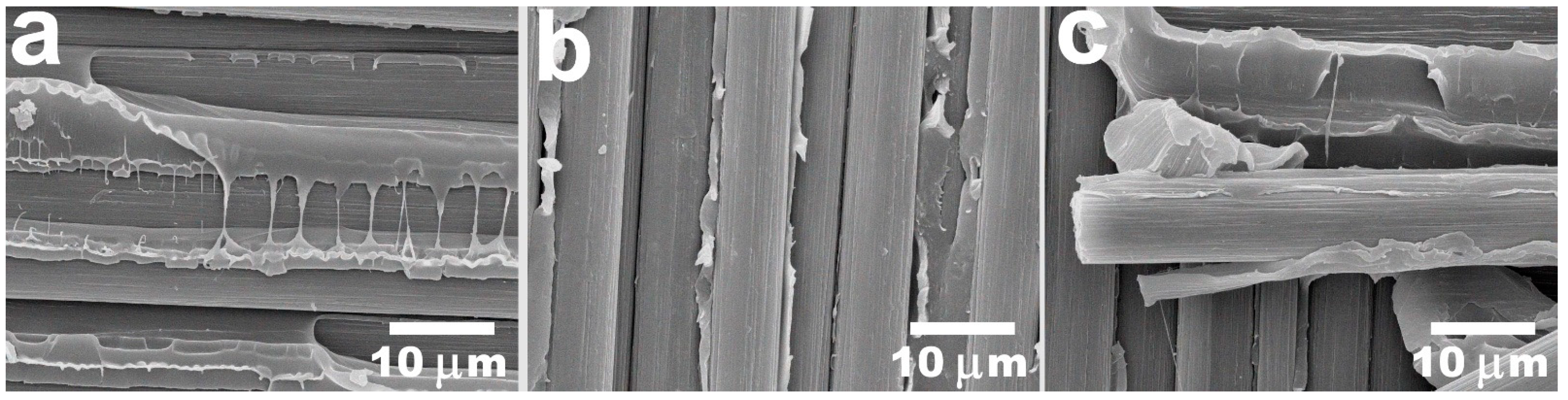 Polymers 16 00860 g005