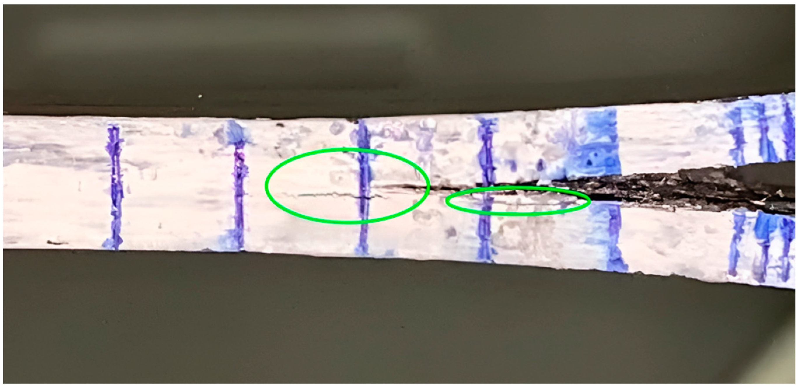 Polymers 16 00860 g007