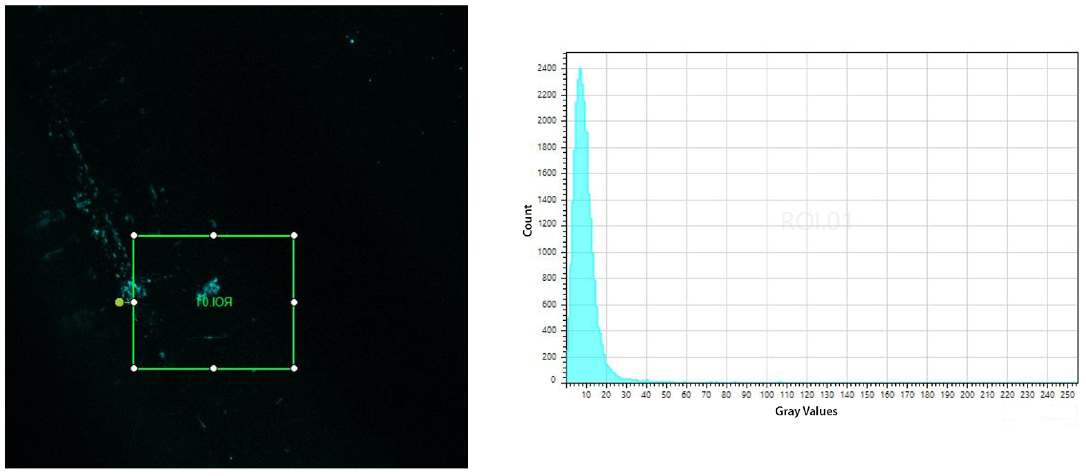 Polymers 16 00861 g009
