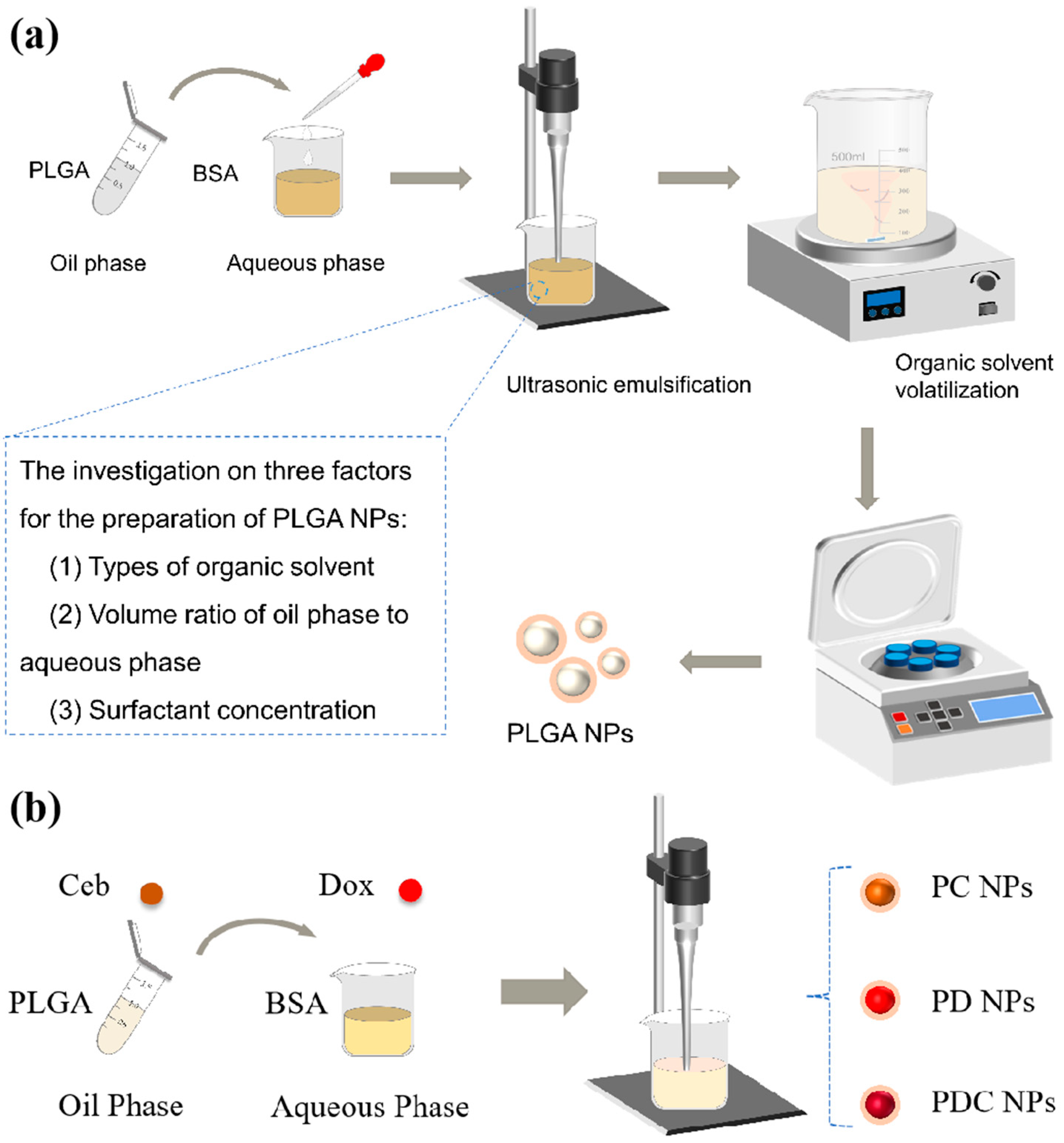 Polymers 16 00865 g001