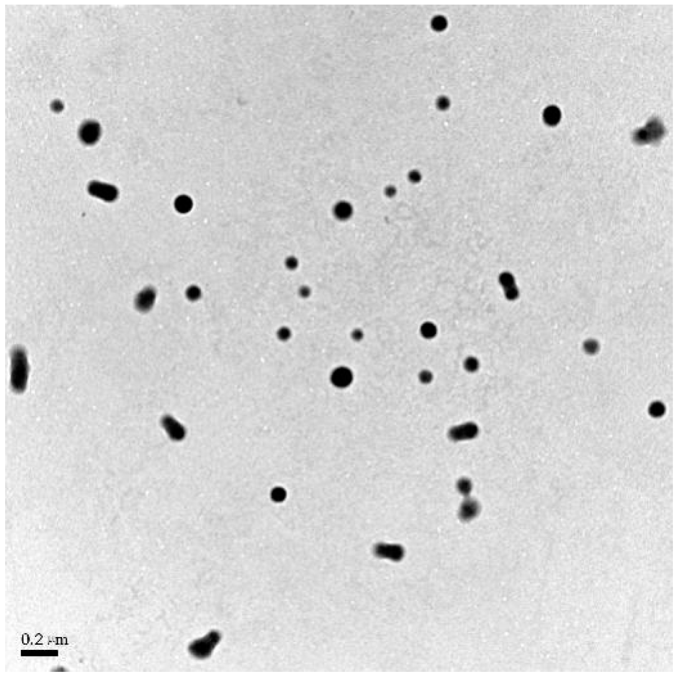 Polymers 16 00865 g005