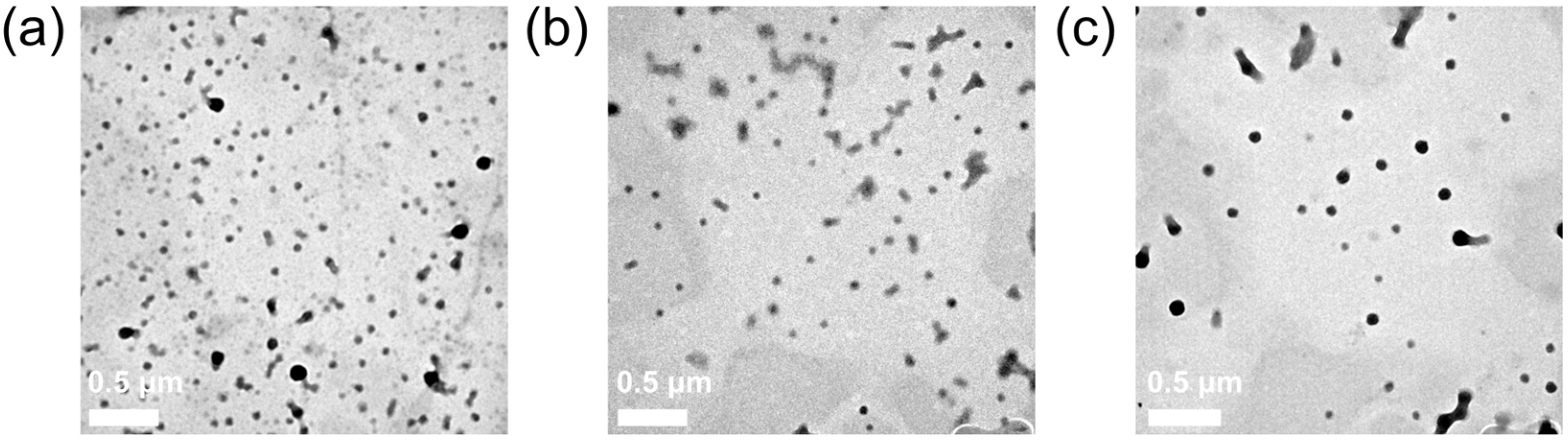 Polymers 16 00865 g007