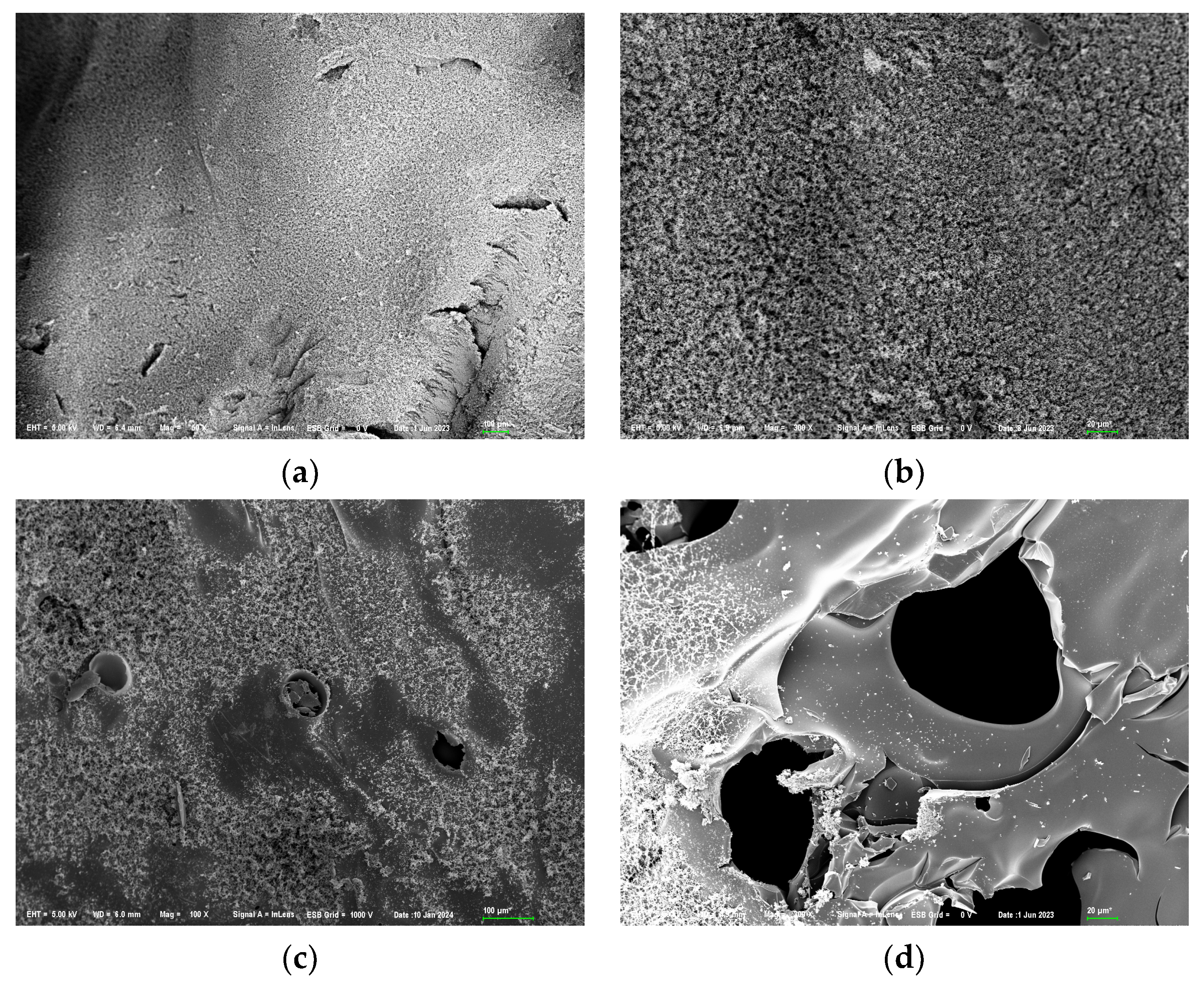 Polymers 16 00871 g015