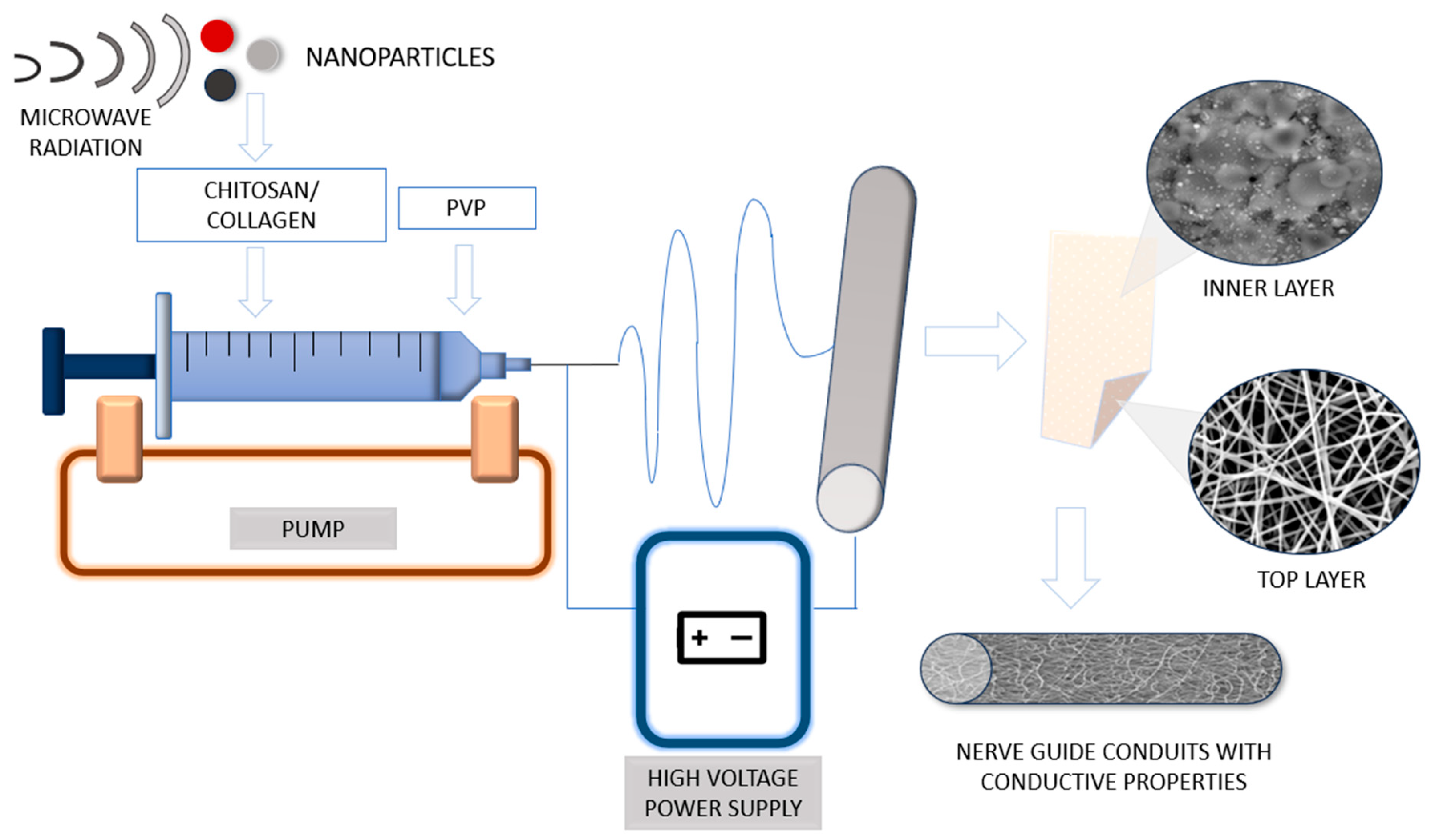 Polymers 16 00875 g001