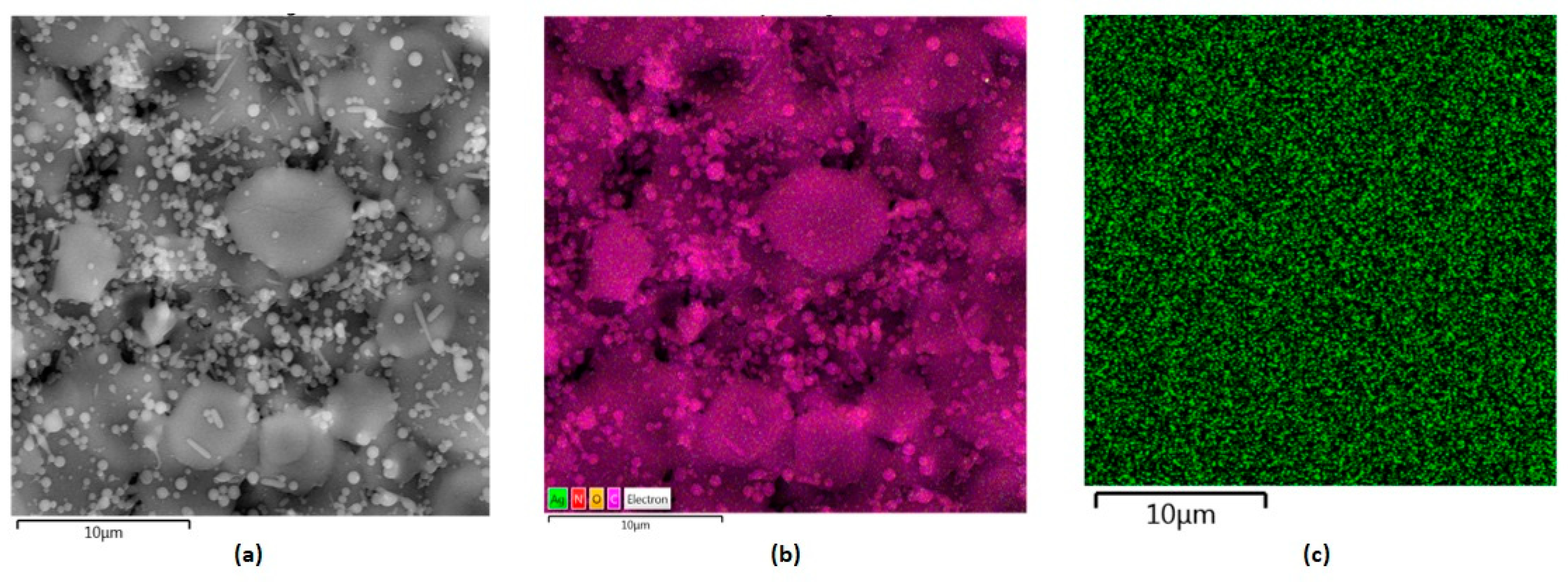 Polymers 16 00875 g011