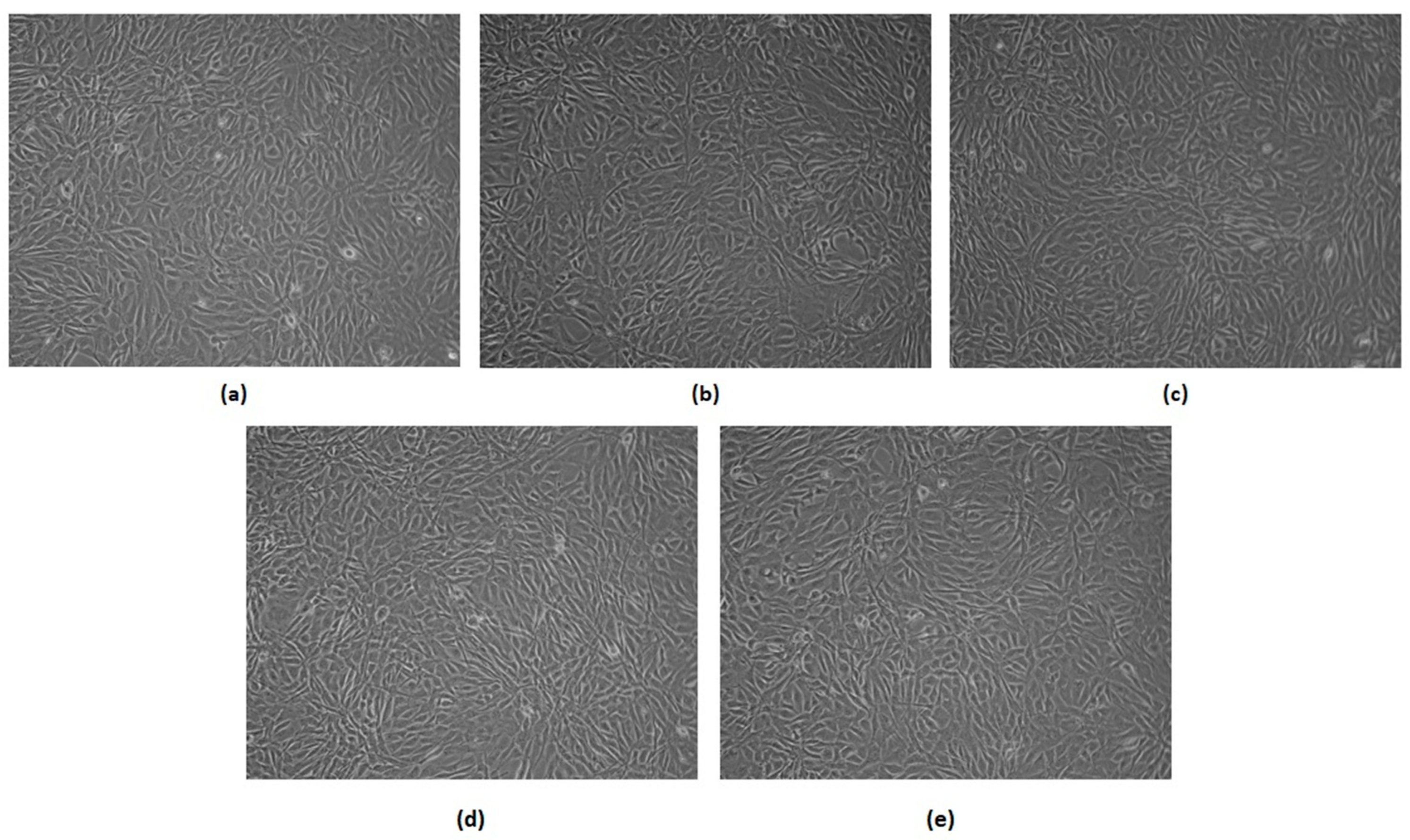 Polymers 16 00875 g019