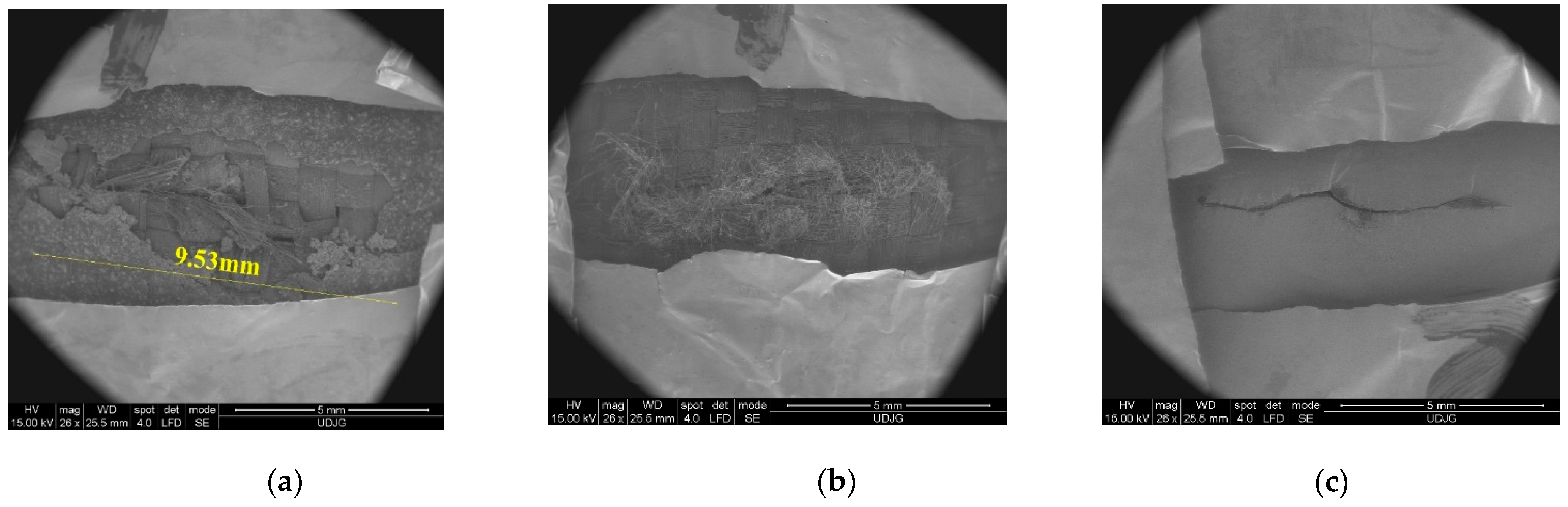 Polymers 16 00882 g021
