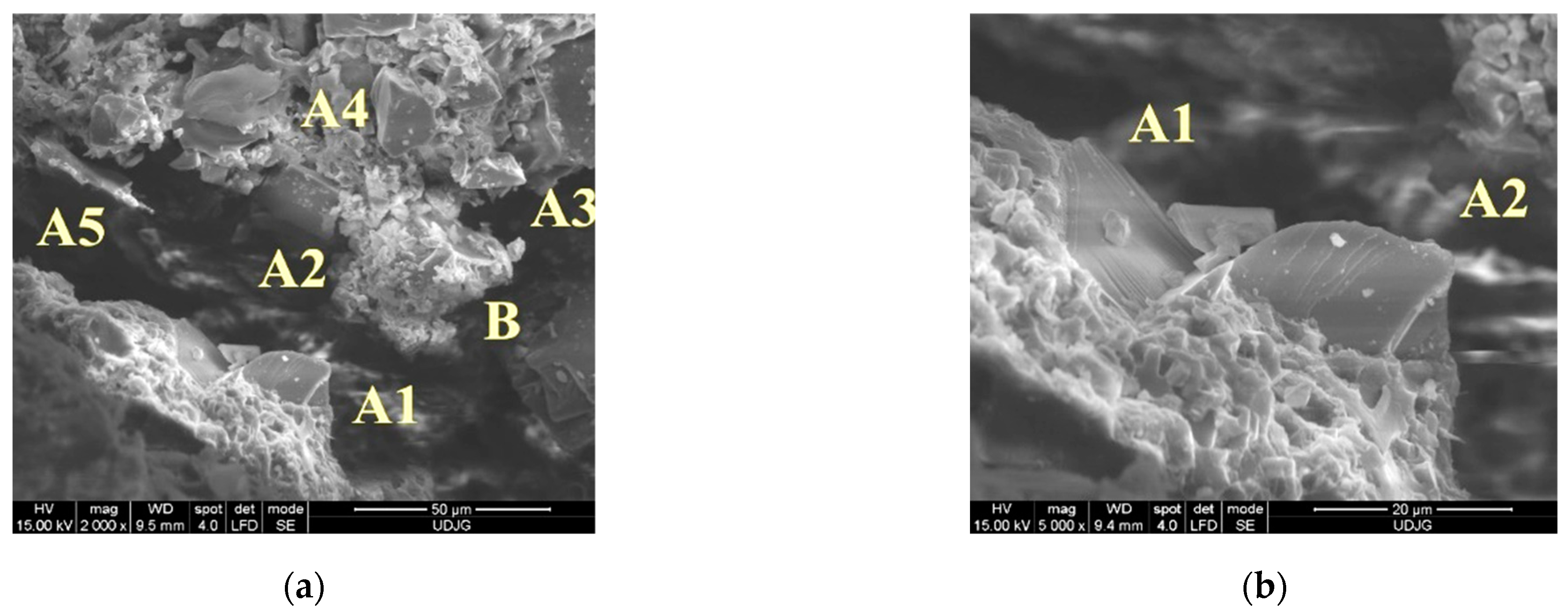 Polymers 16 00882 g023