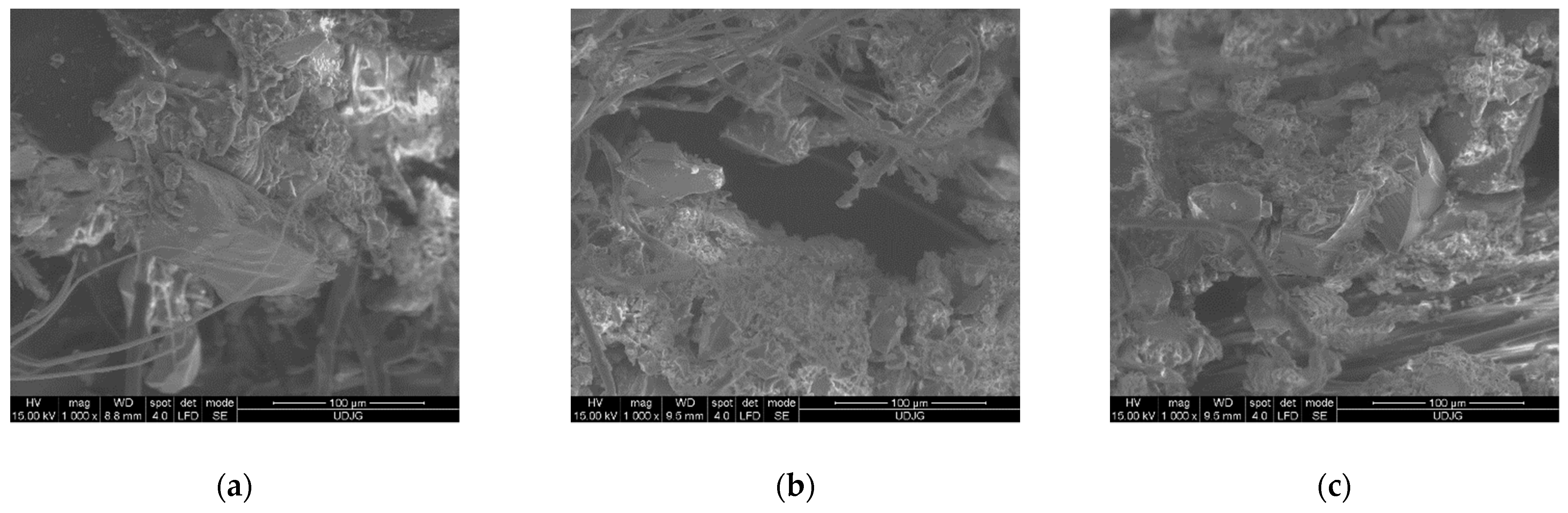 Polymers 16 00882 g026