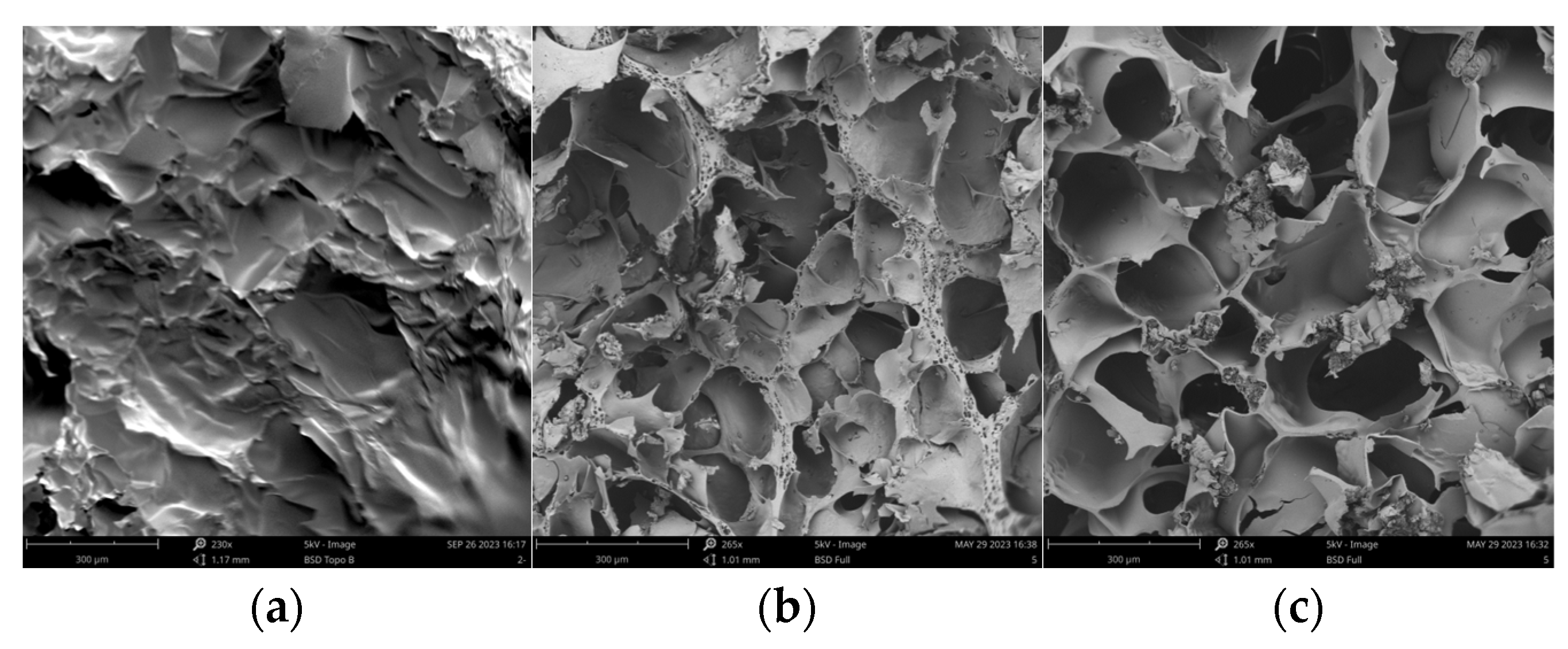 Polymers 16 00895 g007