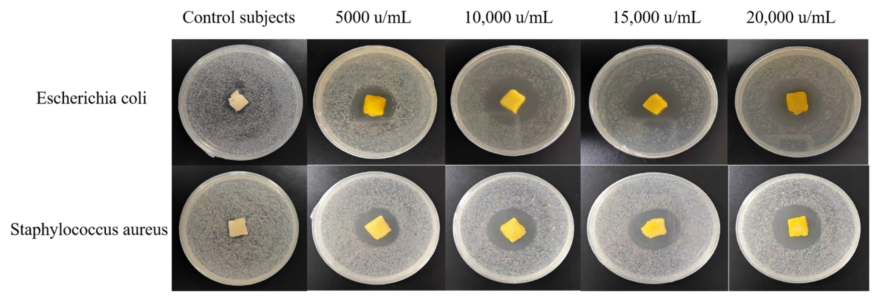 Polymers 16 00895 g009
