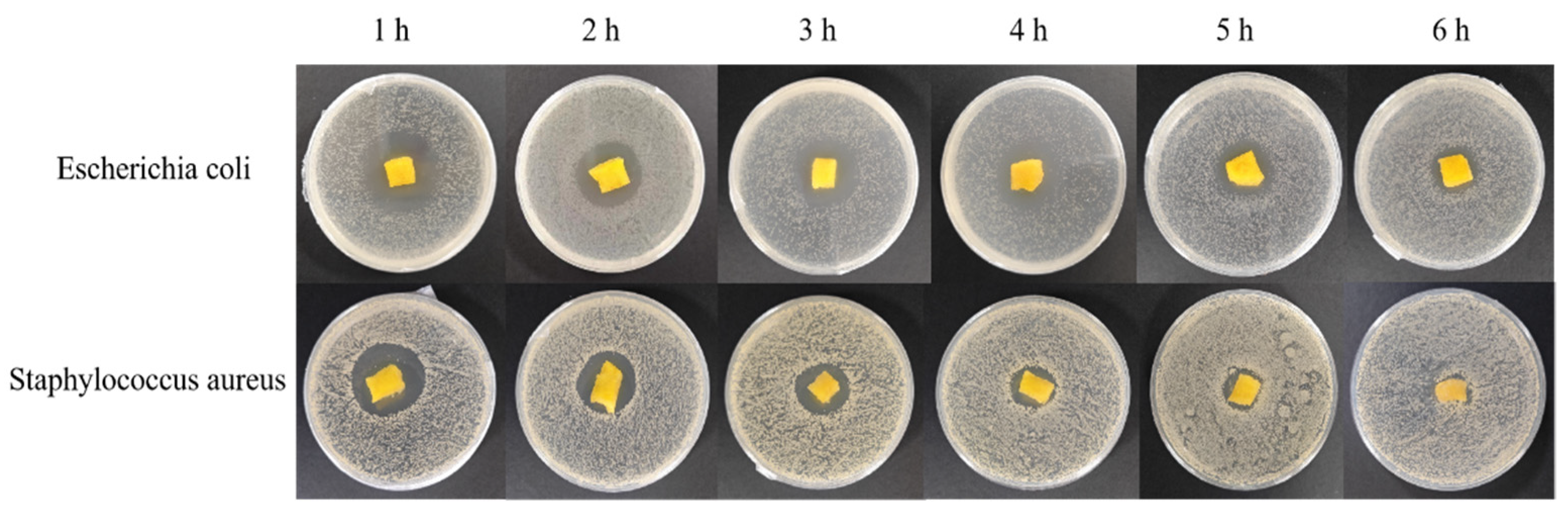 Polymers 16 00895 g010