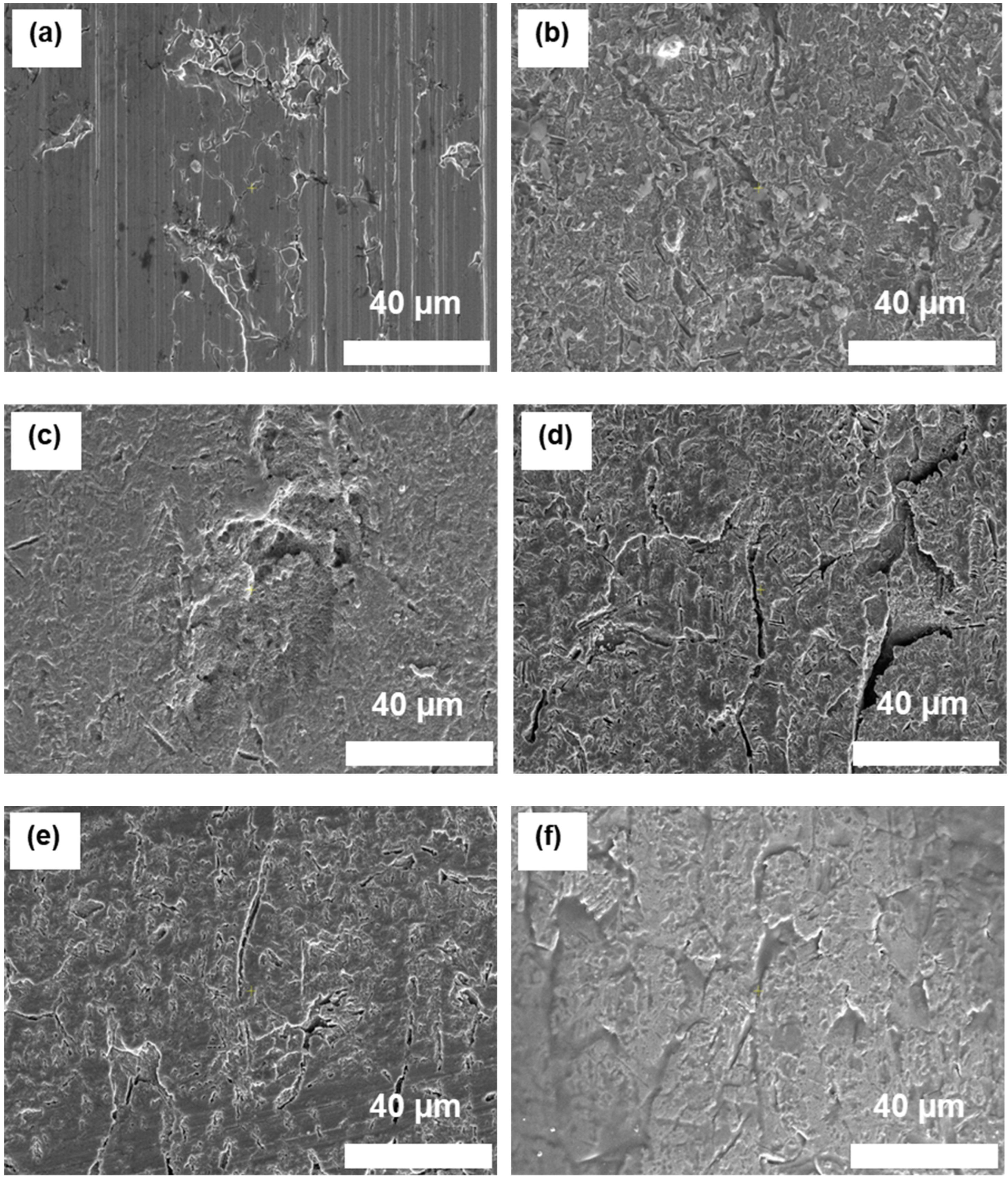 Polymers 16 00896 g005