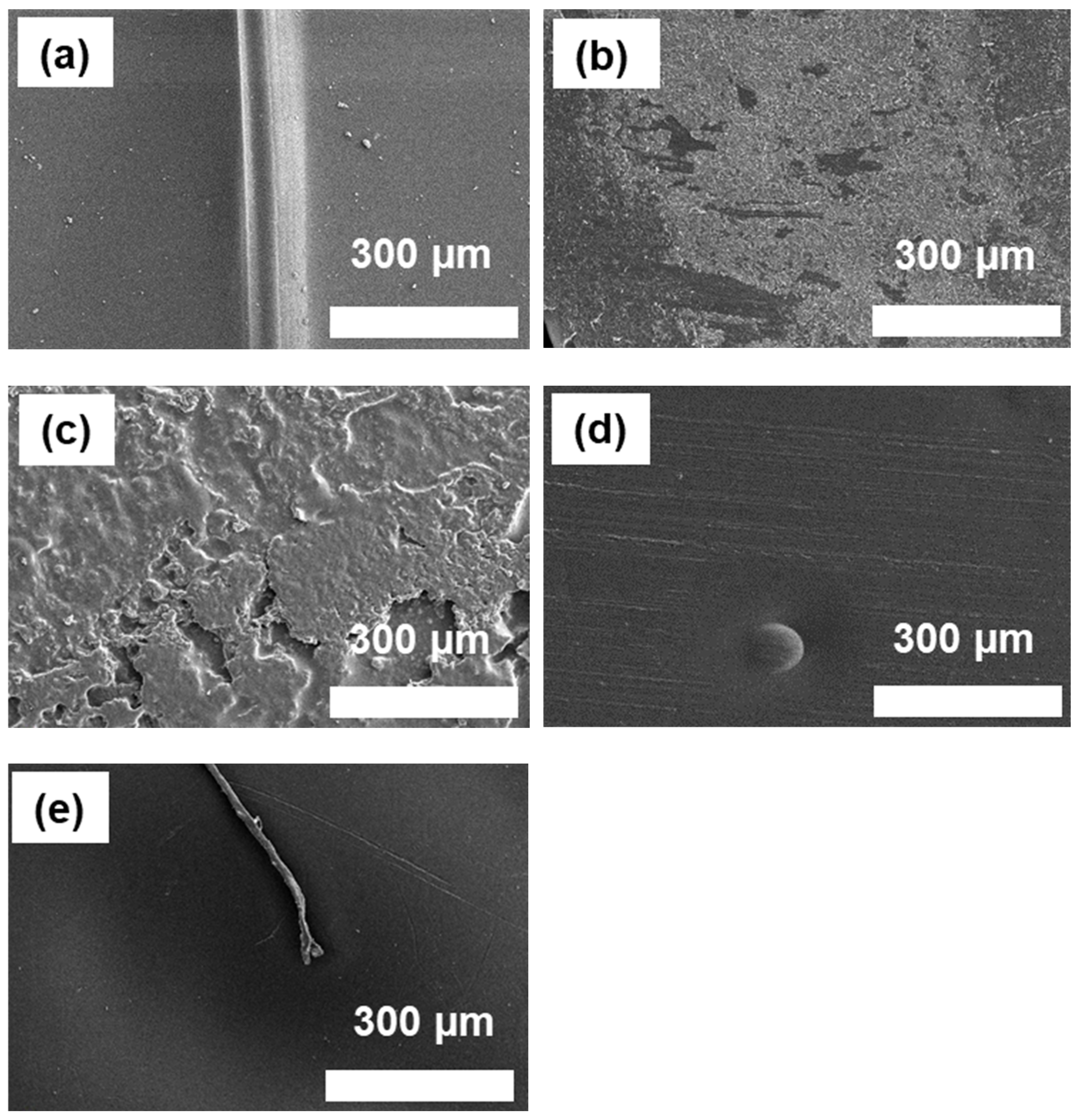 Polymers 16 00896 g011