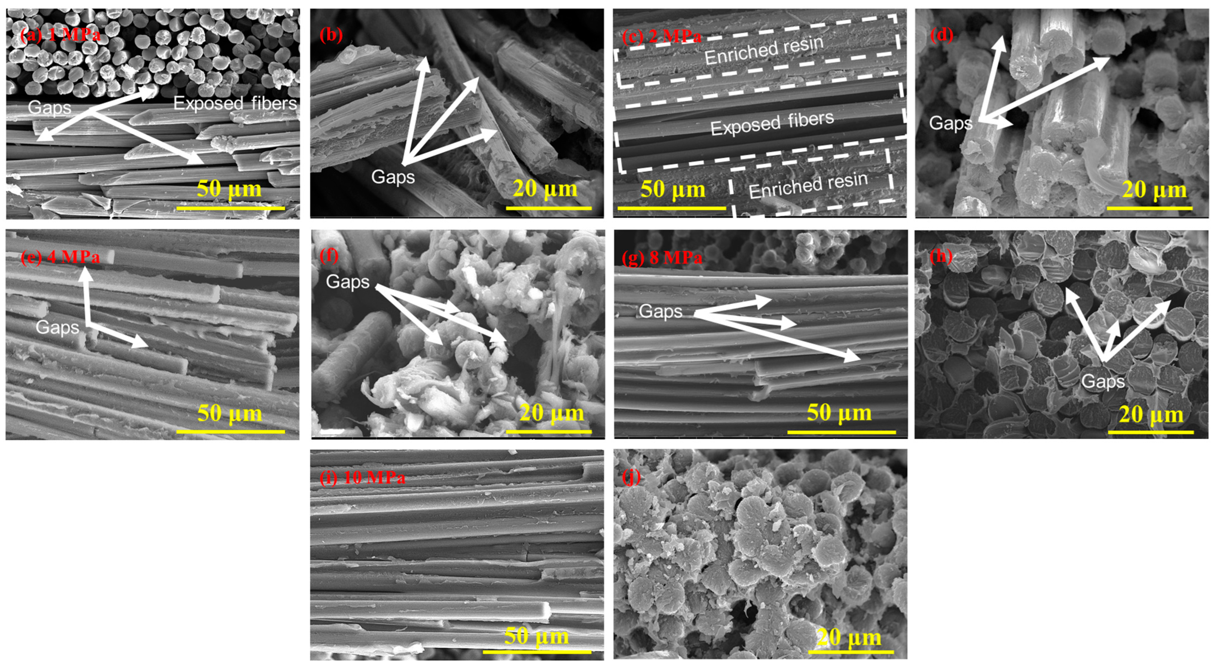 Polymers 16 00897 g010