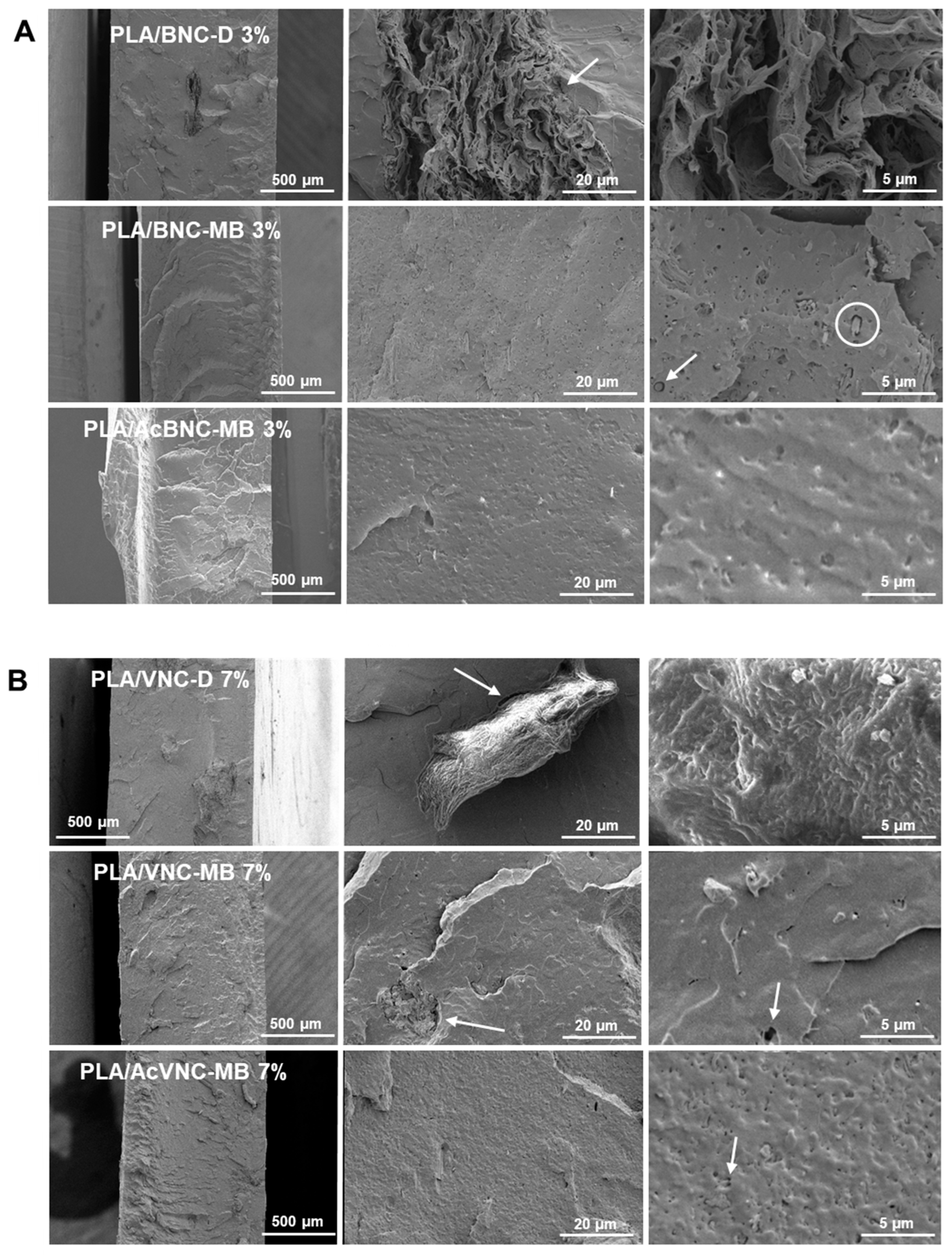 Polymers 16 00898 g006