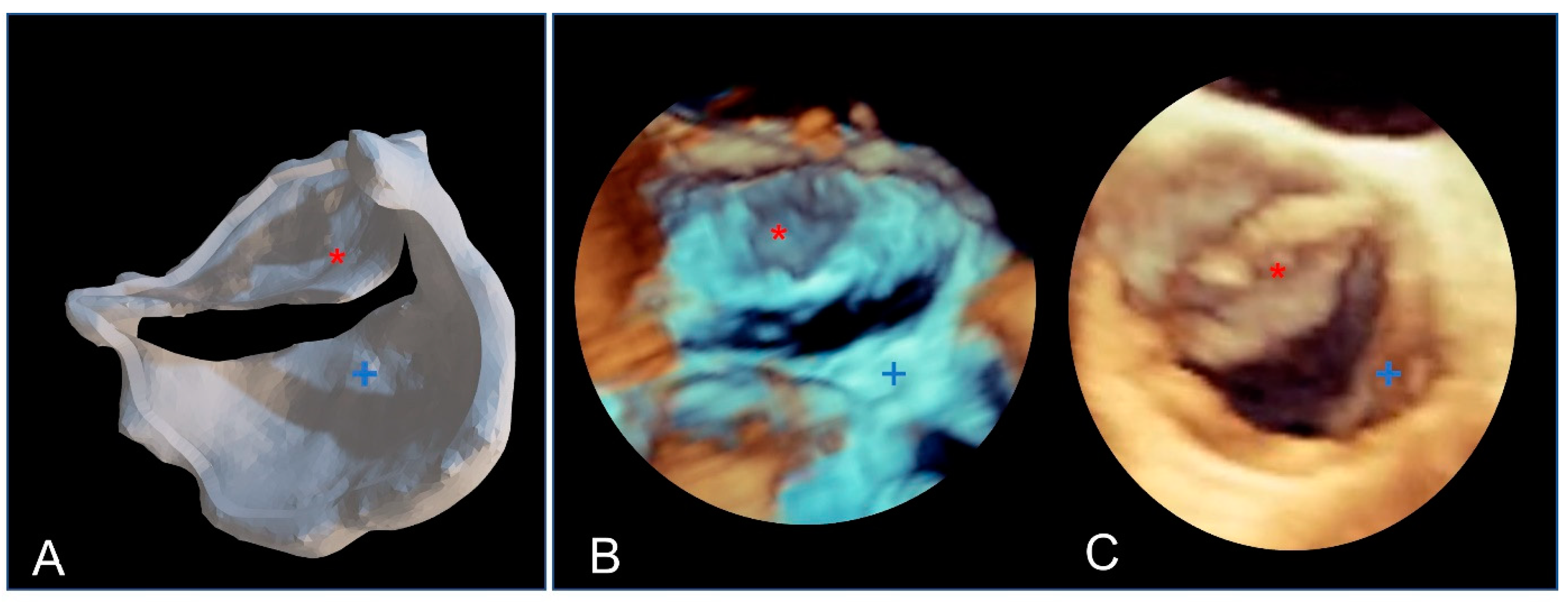 Polymers 16 00900 g009