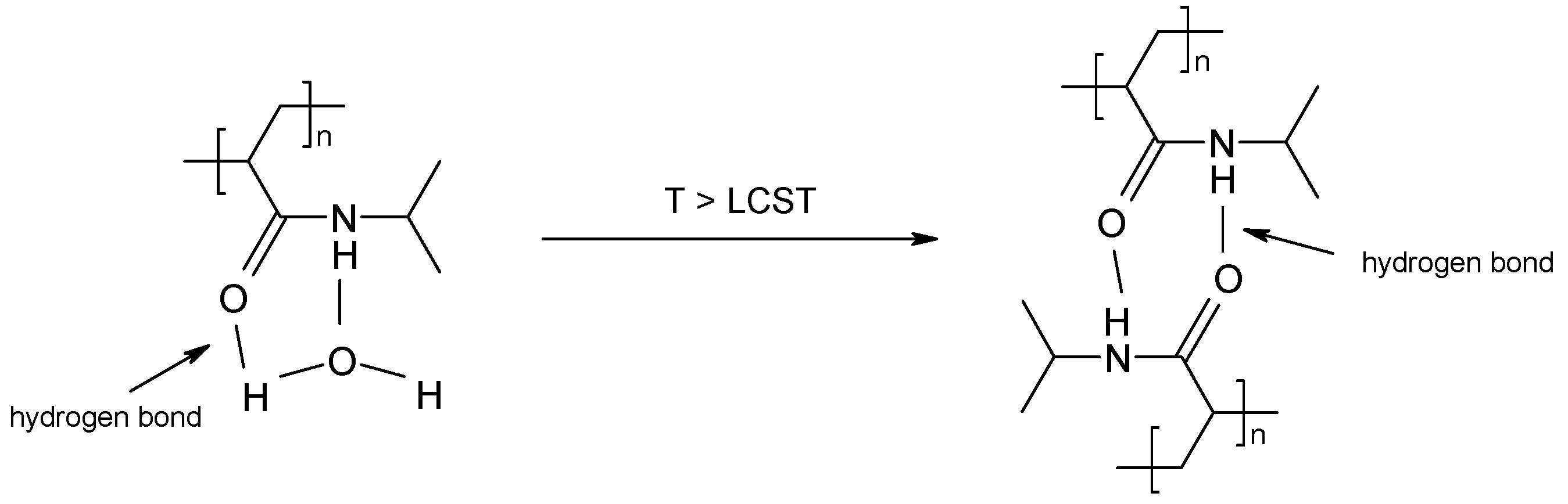 Polymers 16 00907 g001