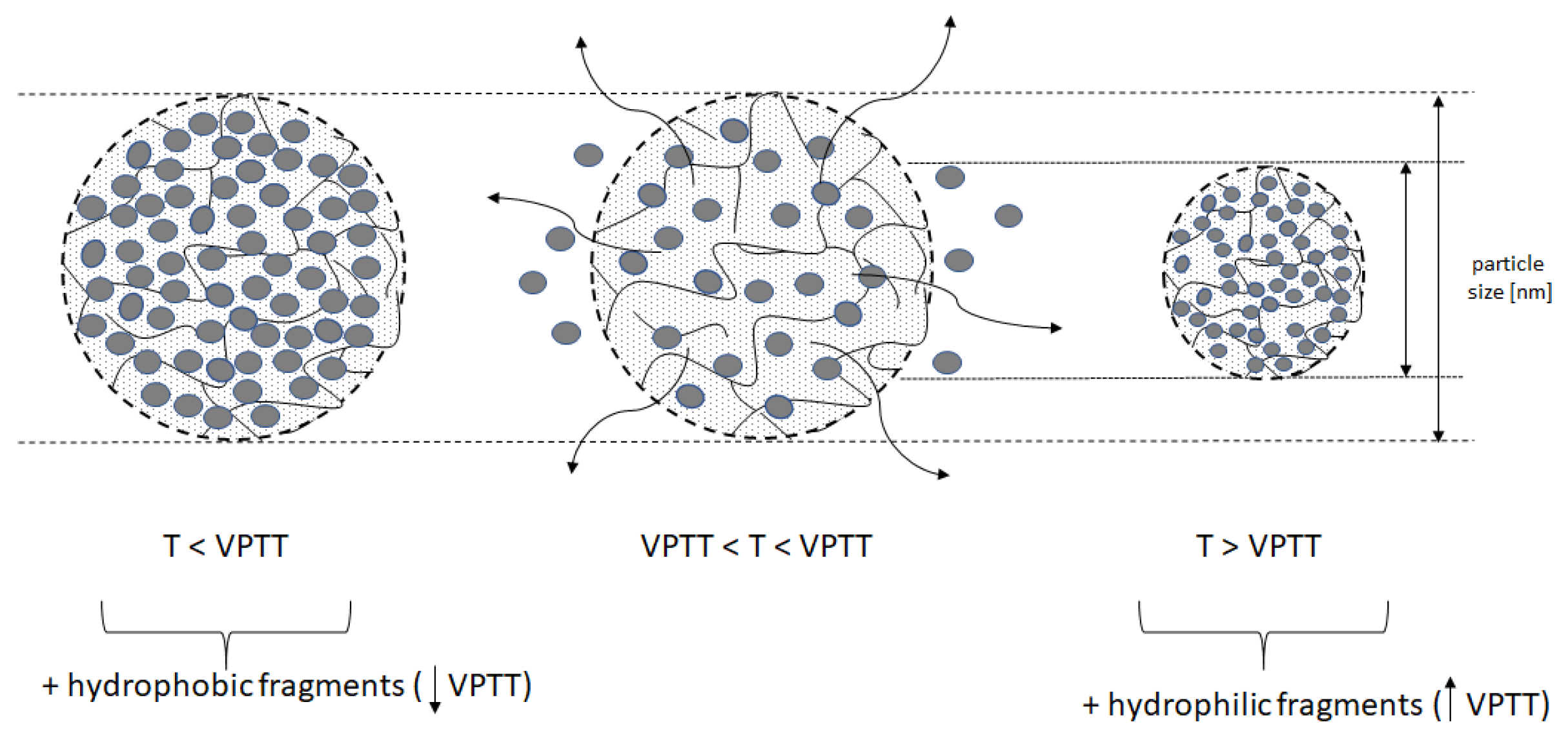 Polymers 16 00907 g002