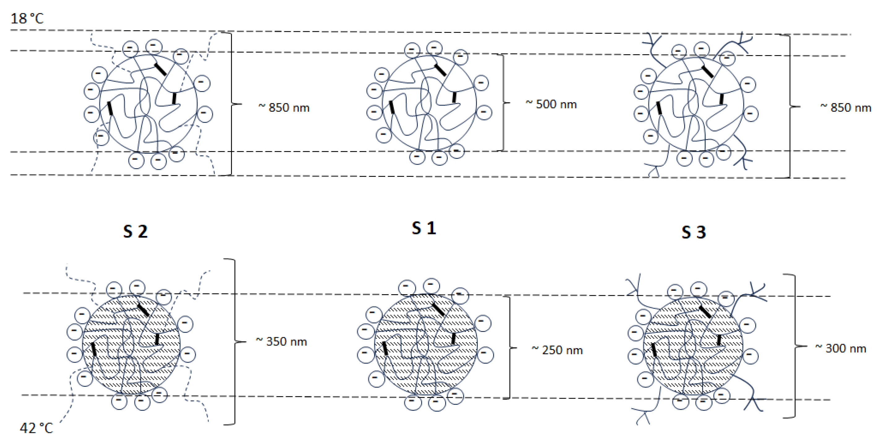 Polymers 16 00907 g005