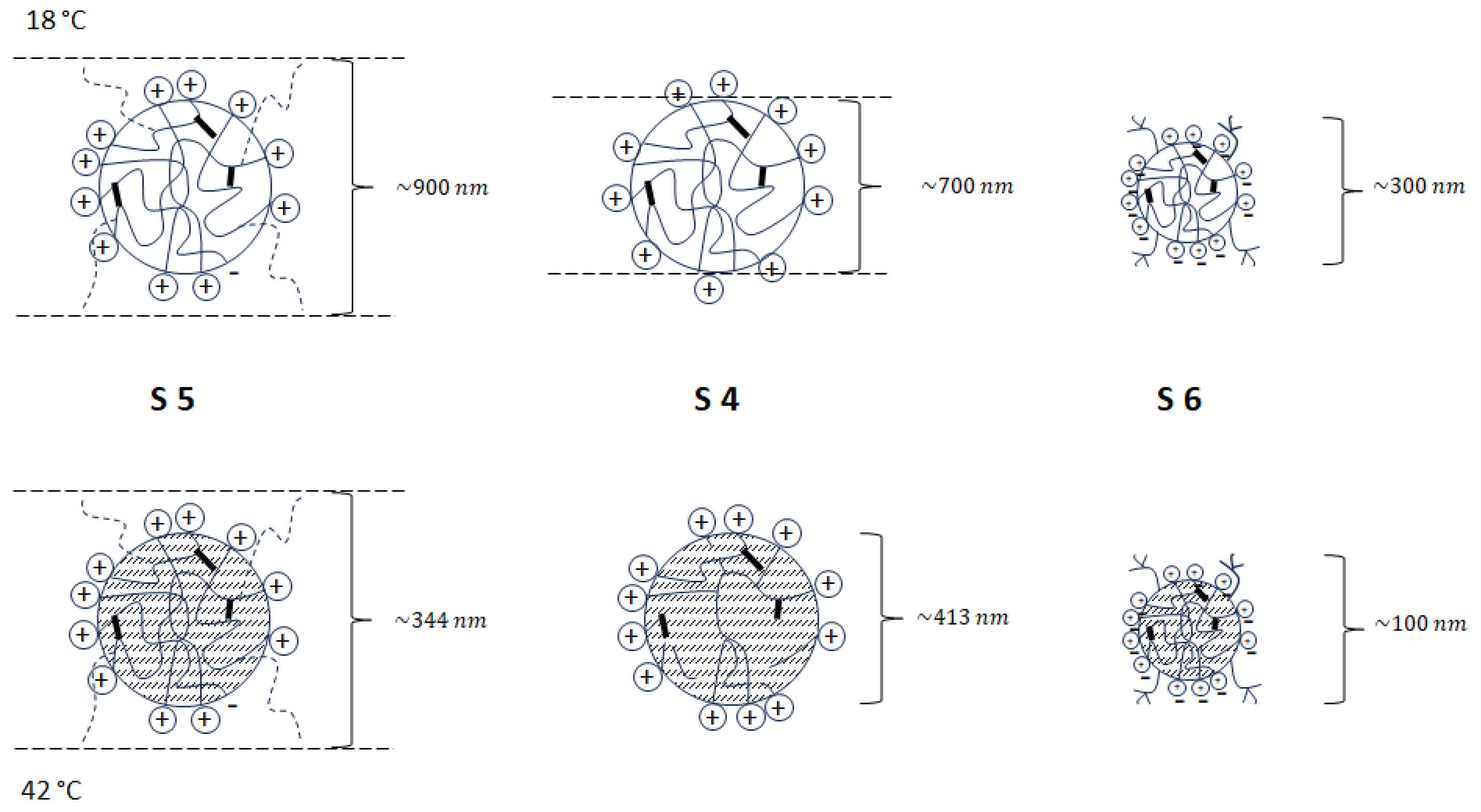 Polymers 16 00907 g007