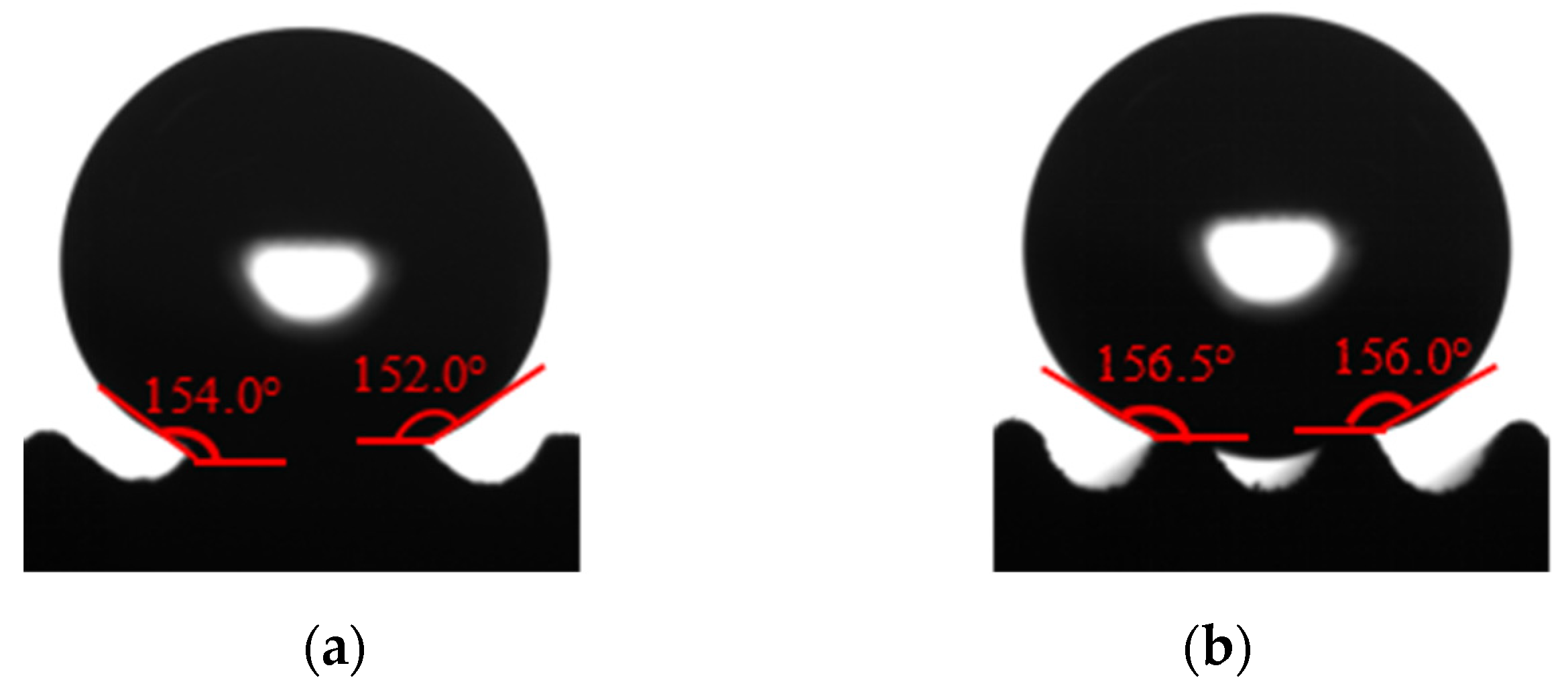 Polymers 16 00912 g011