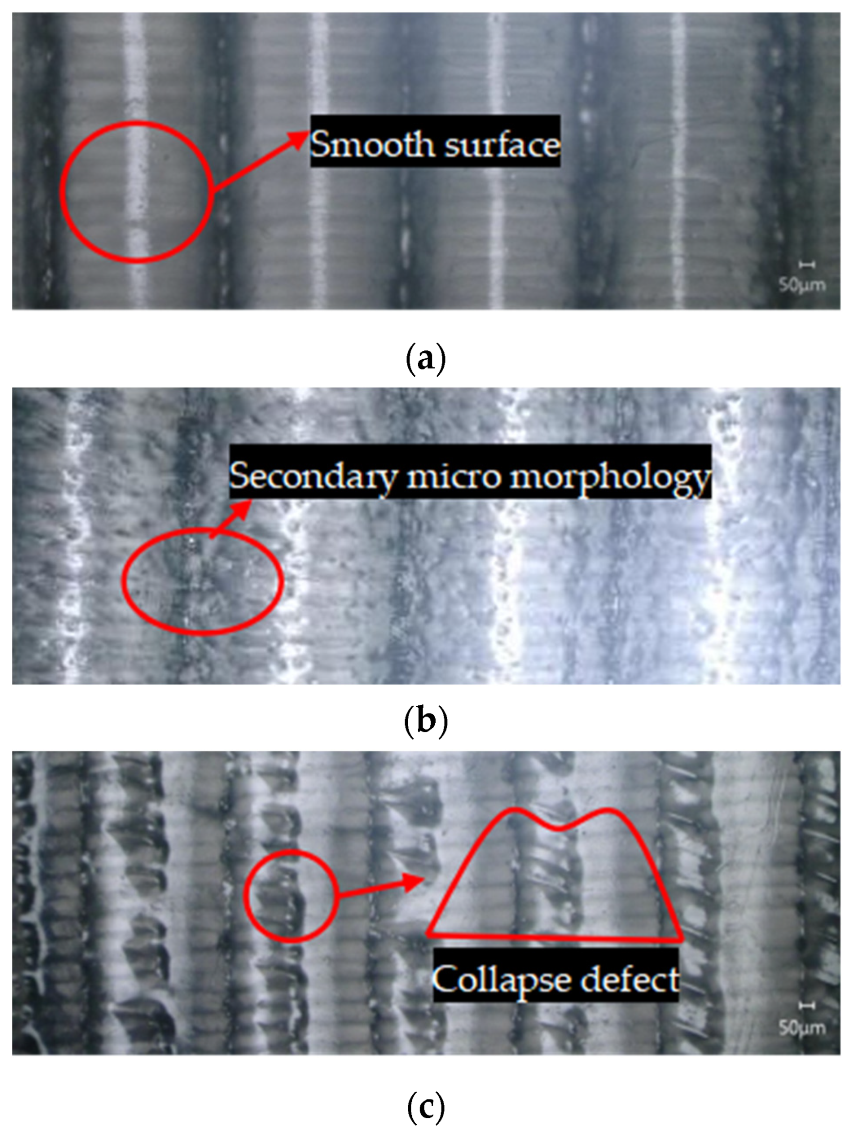 Polymers 16 00912 g019