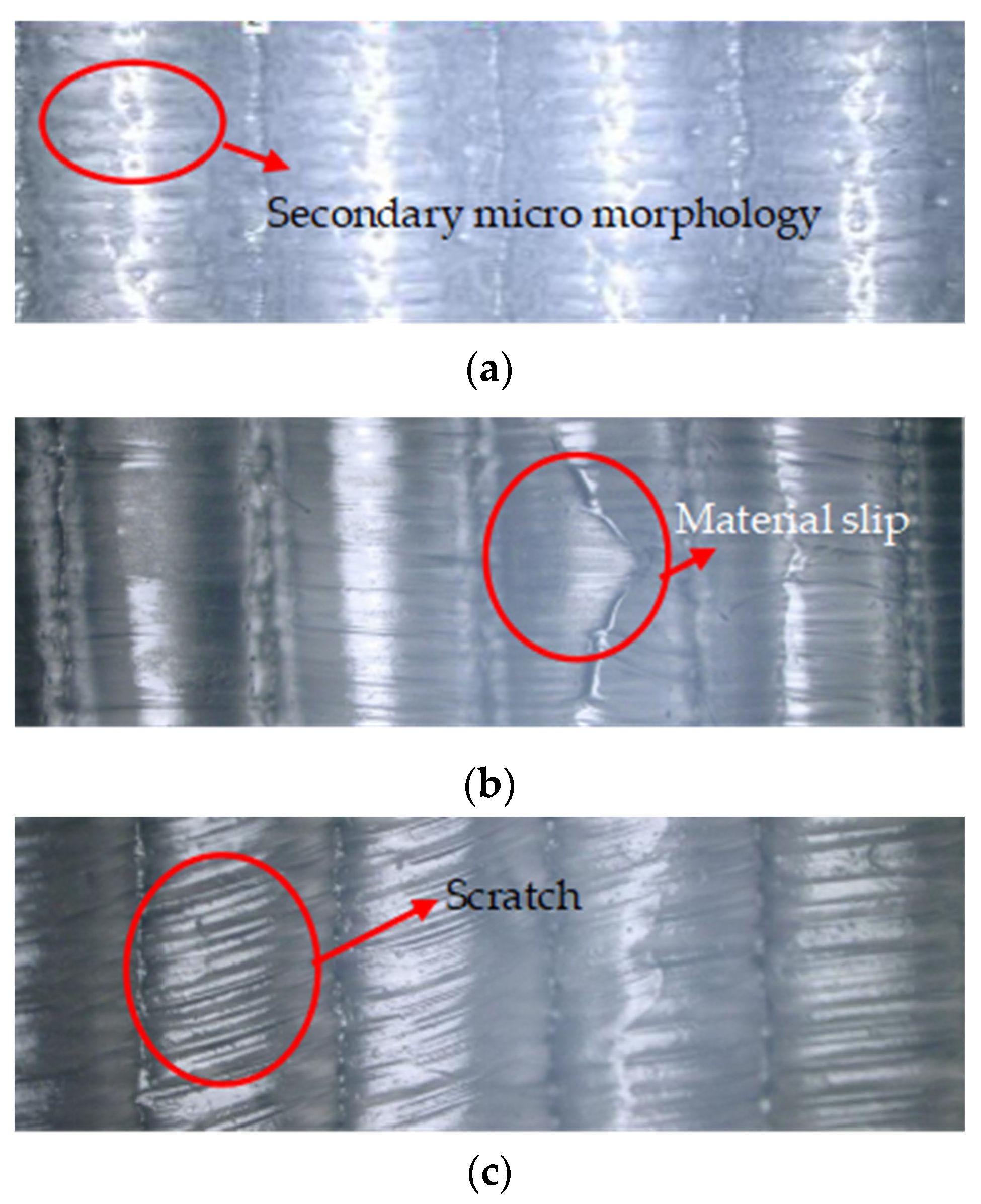 Polymers 16 00912 g021