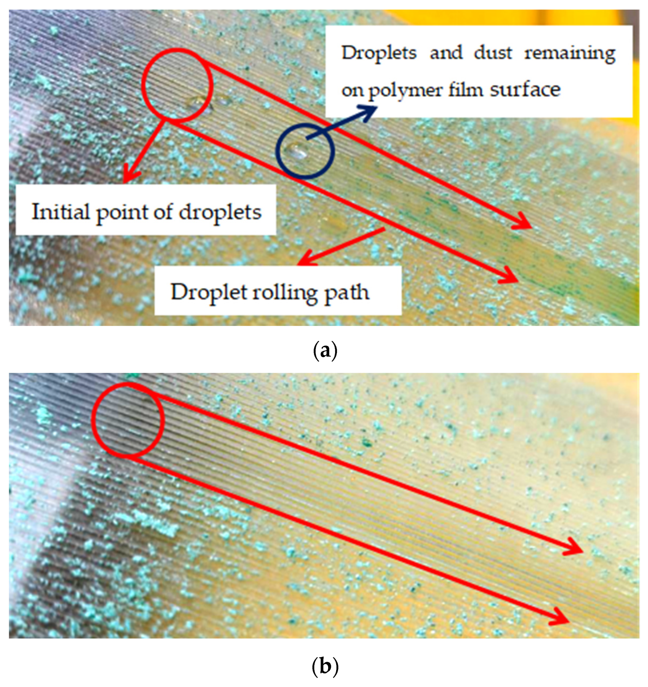 Polymers 16 00912 g026