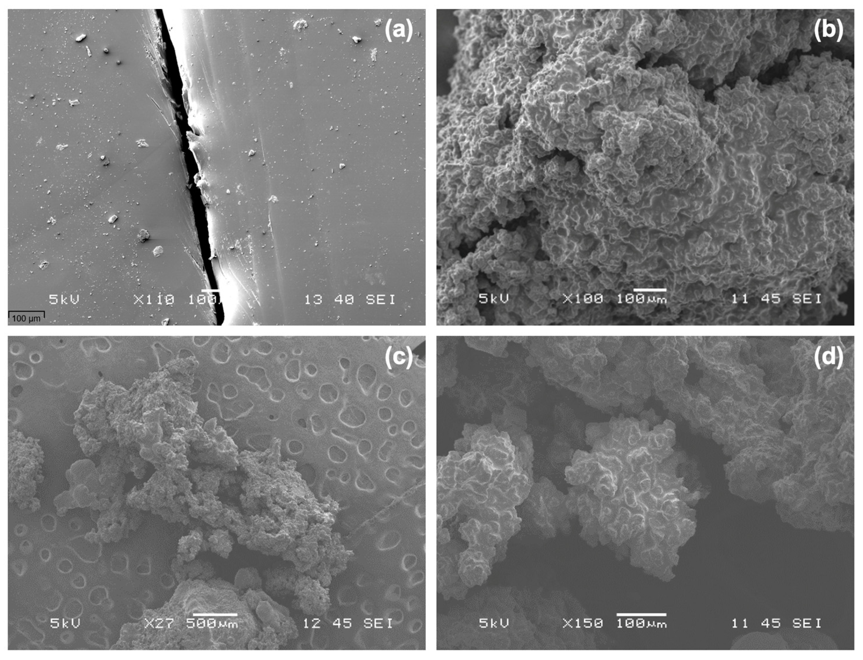 Polymers 16 00918 g001