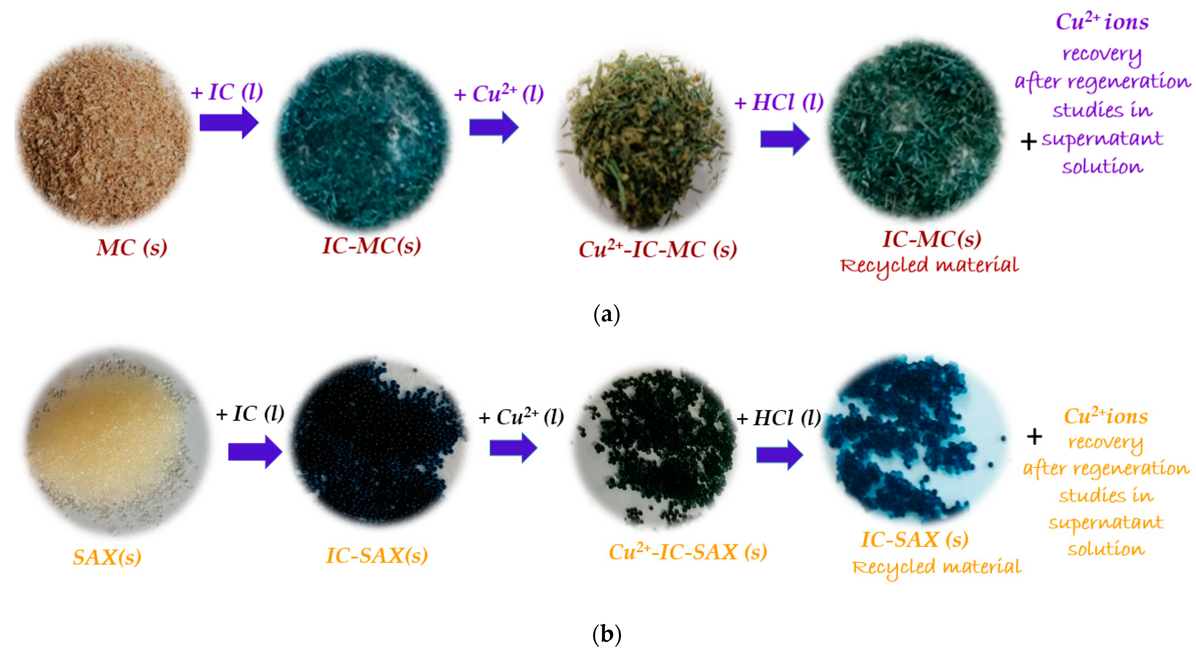 Polymers 16 00920 g012