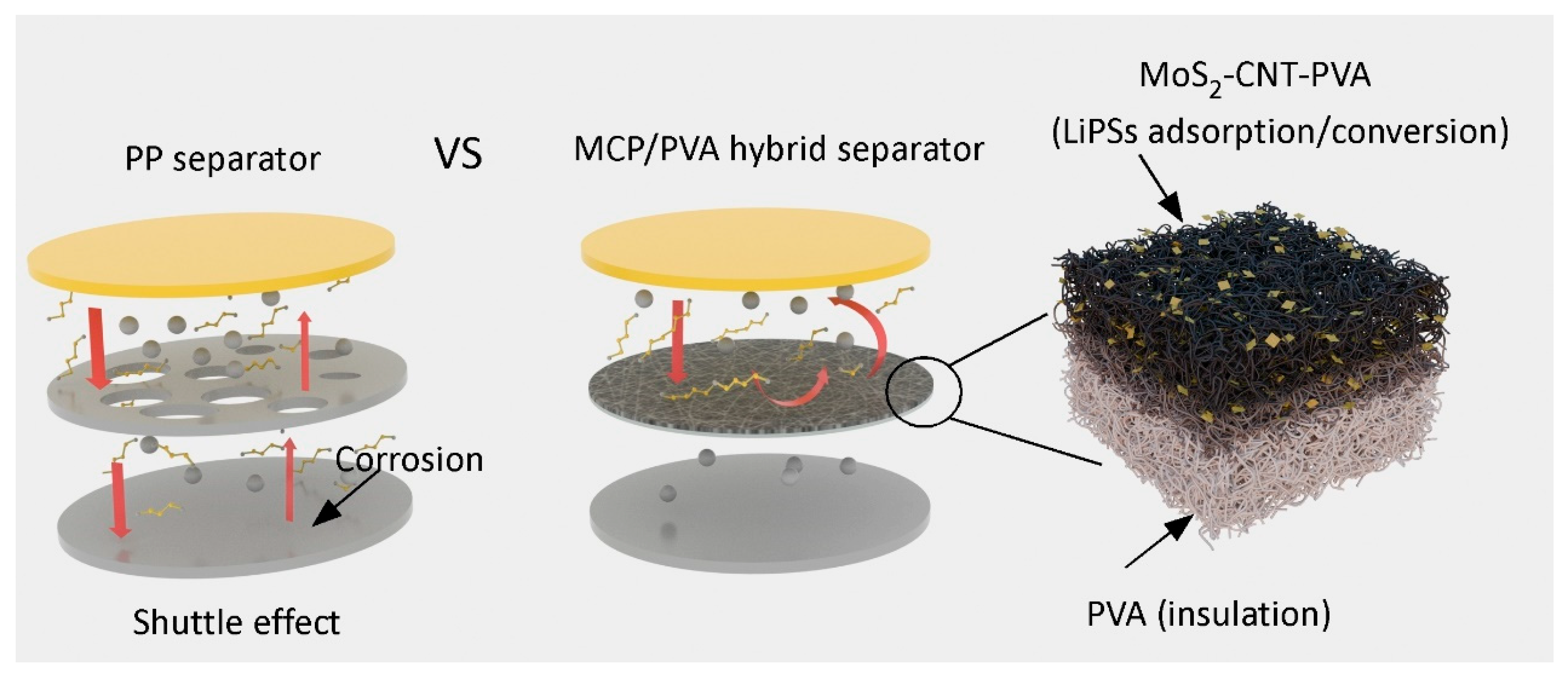 Polymers 16 00921 g006