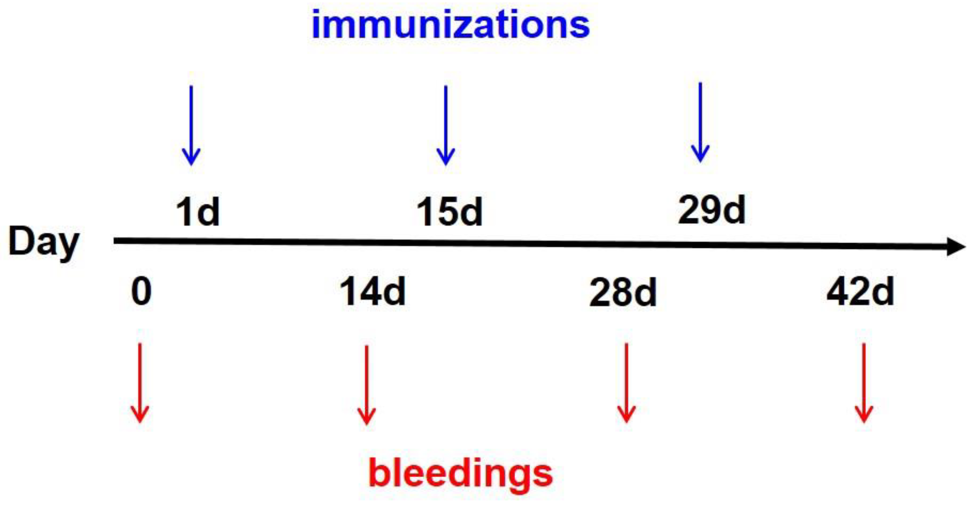Polymers 16 00931 g003