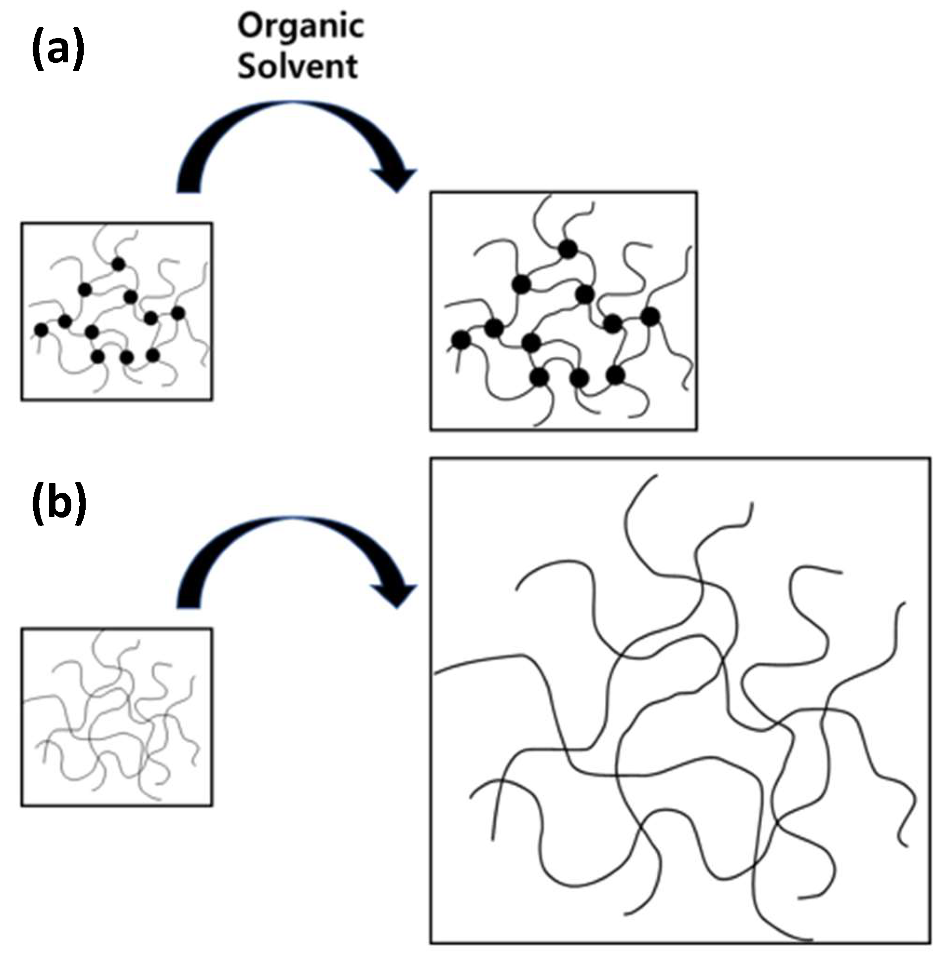 Polymers 16 00933 g009