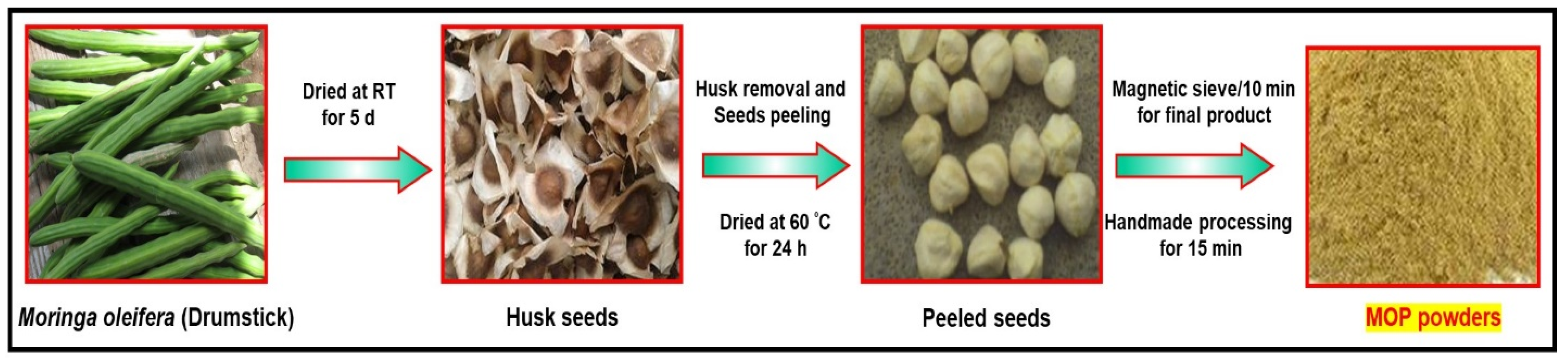 Polymers 16 00937 g001