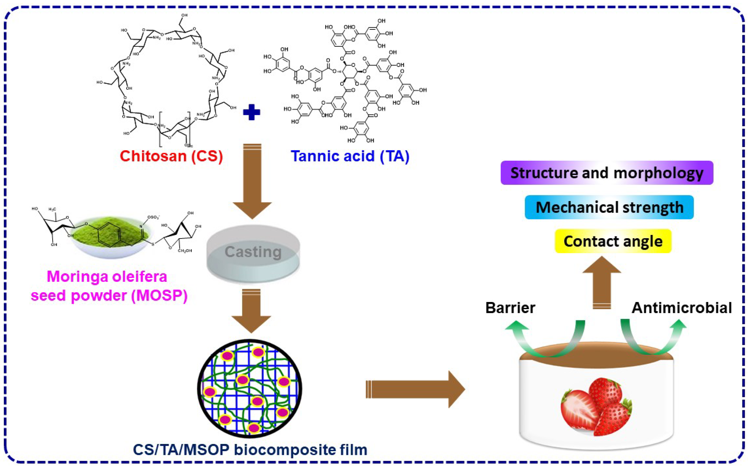 Polymers 16 00937 g002