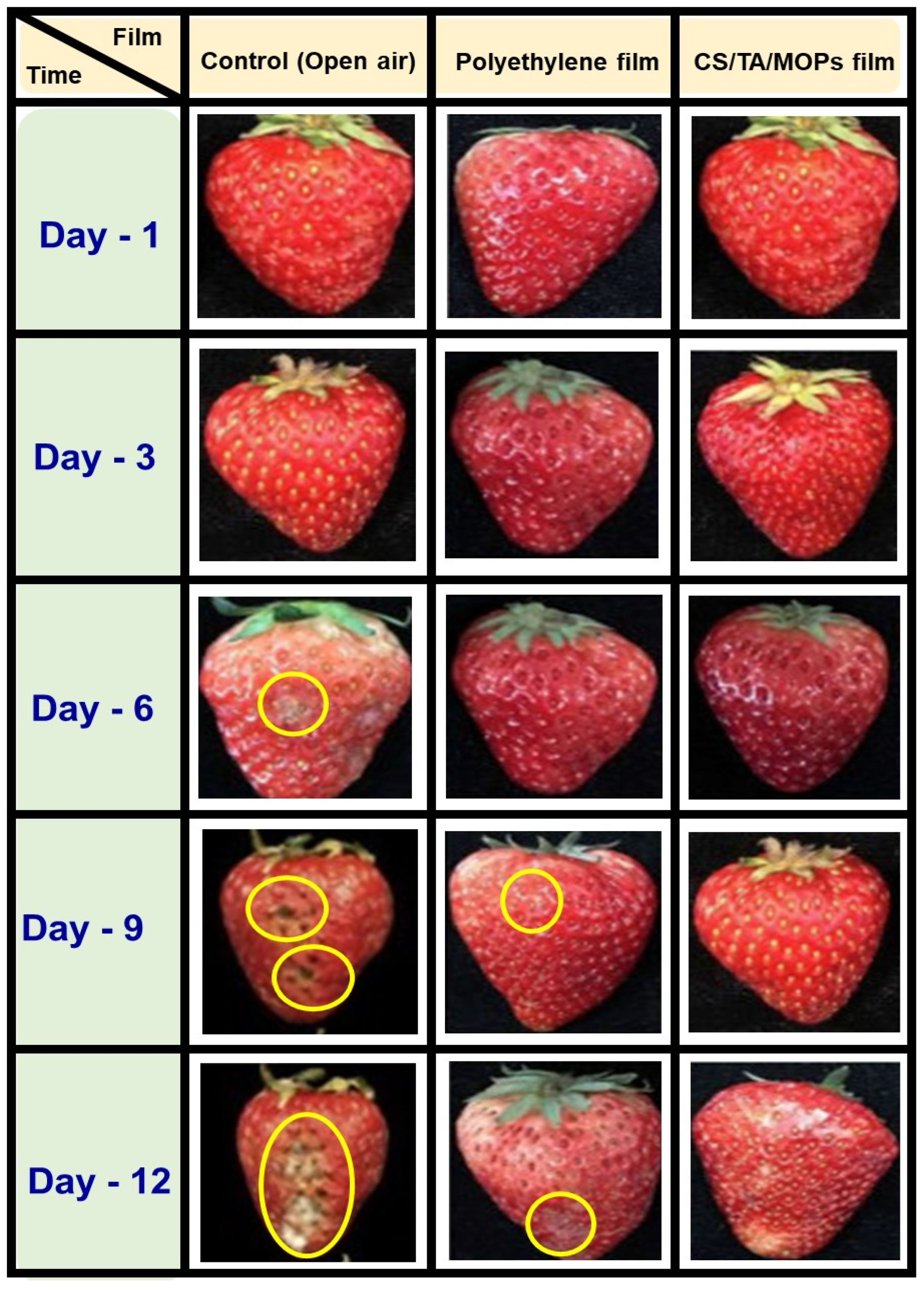 Polymers 16 00937 g012