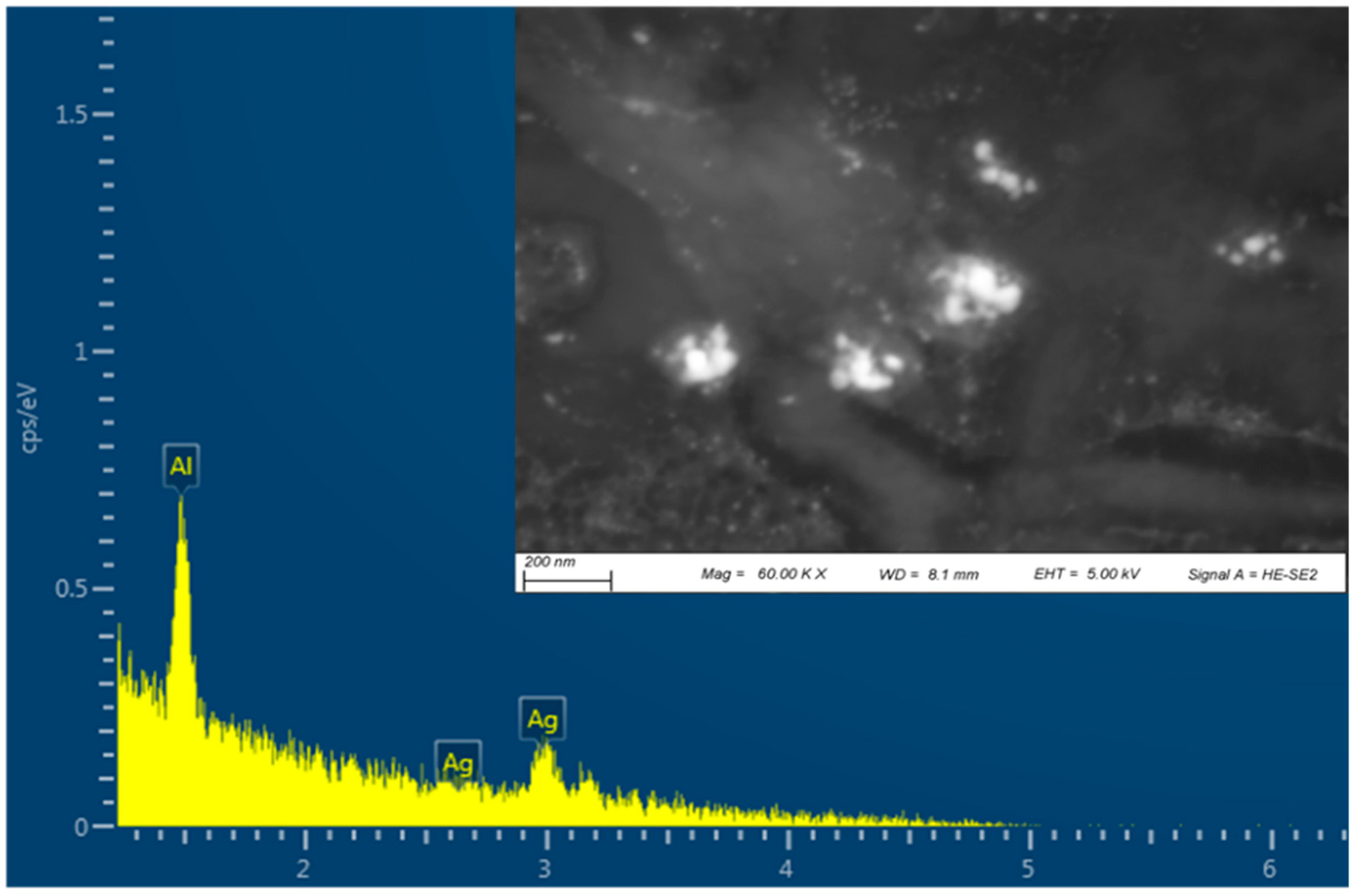 Polymers 16 00941 g003