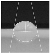 Polymers 16 00941 i001