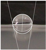 Polymers 16 00941 i005